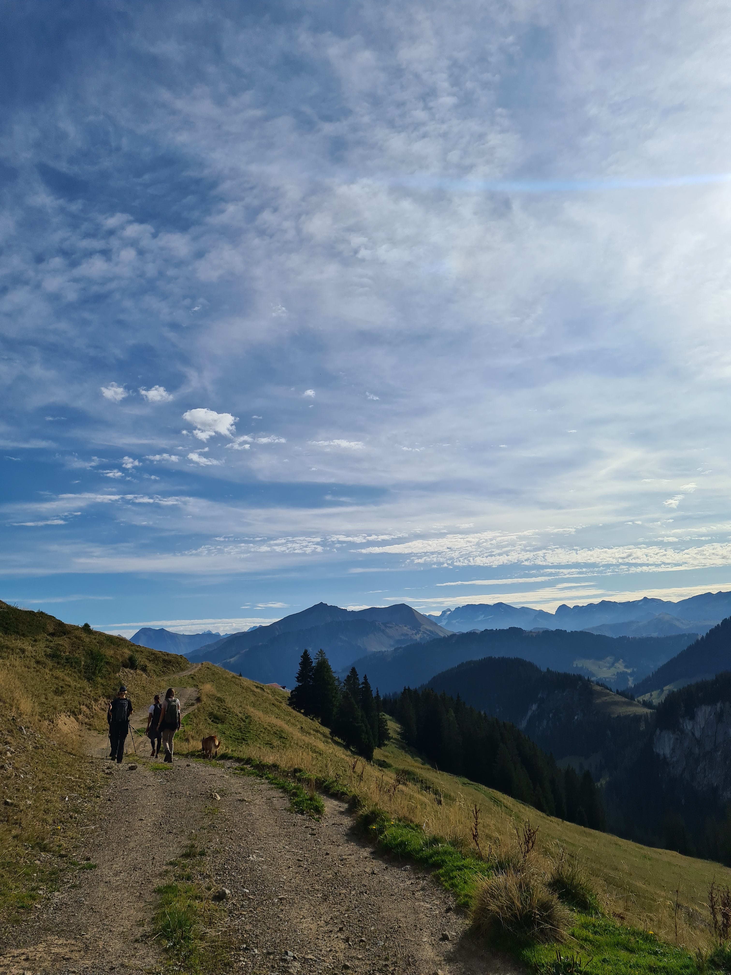 Beautiful view of hiking trail
