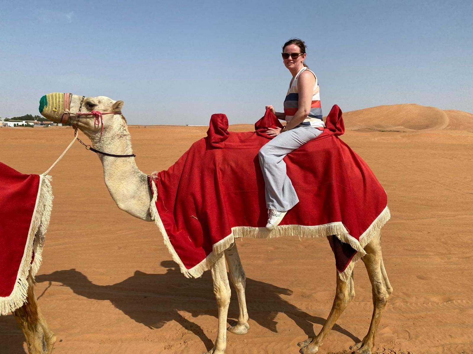 Taking a camel ride in the desert