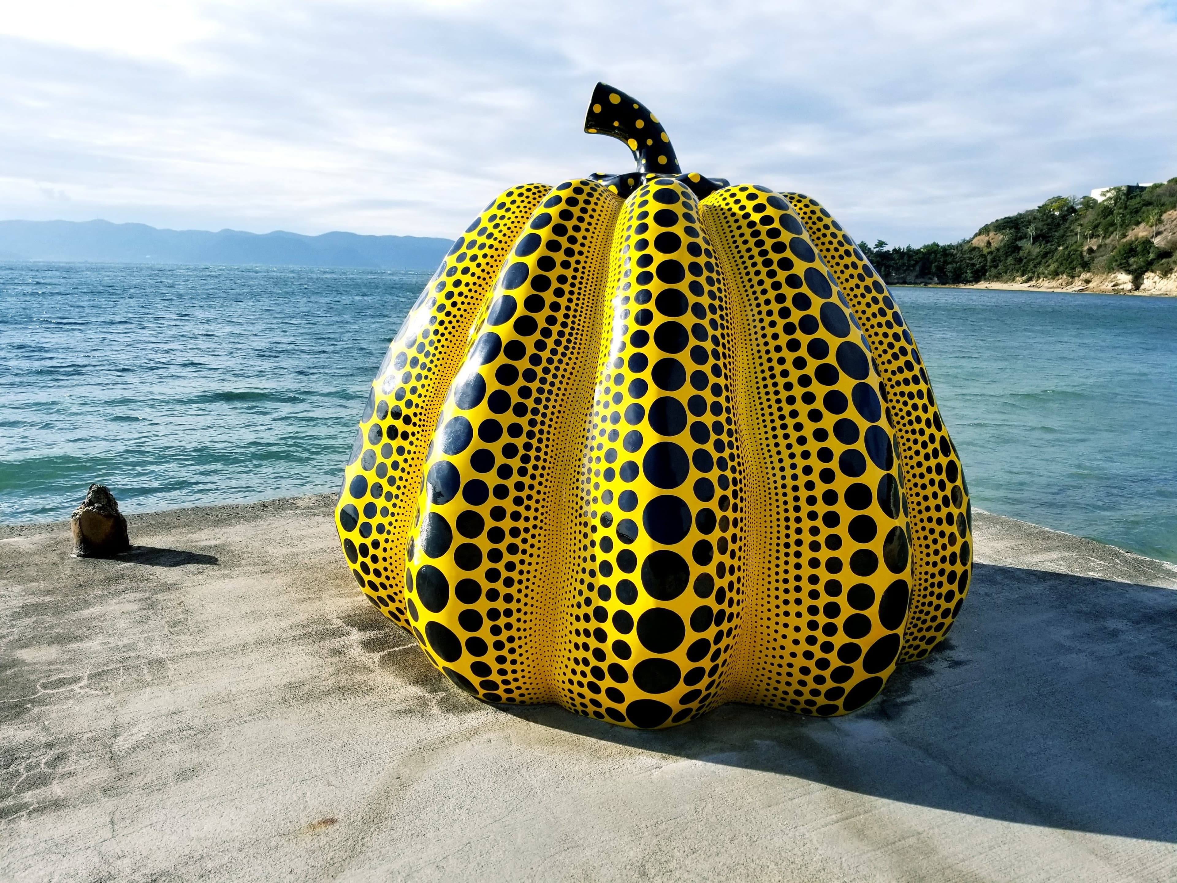 Photo of Yellow Pumpkin in Japan