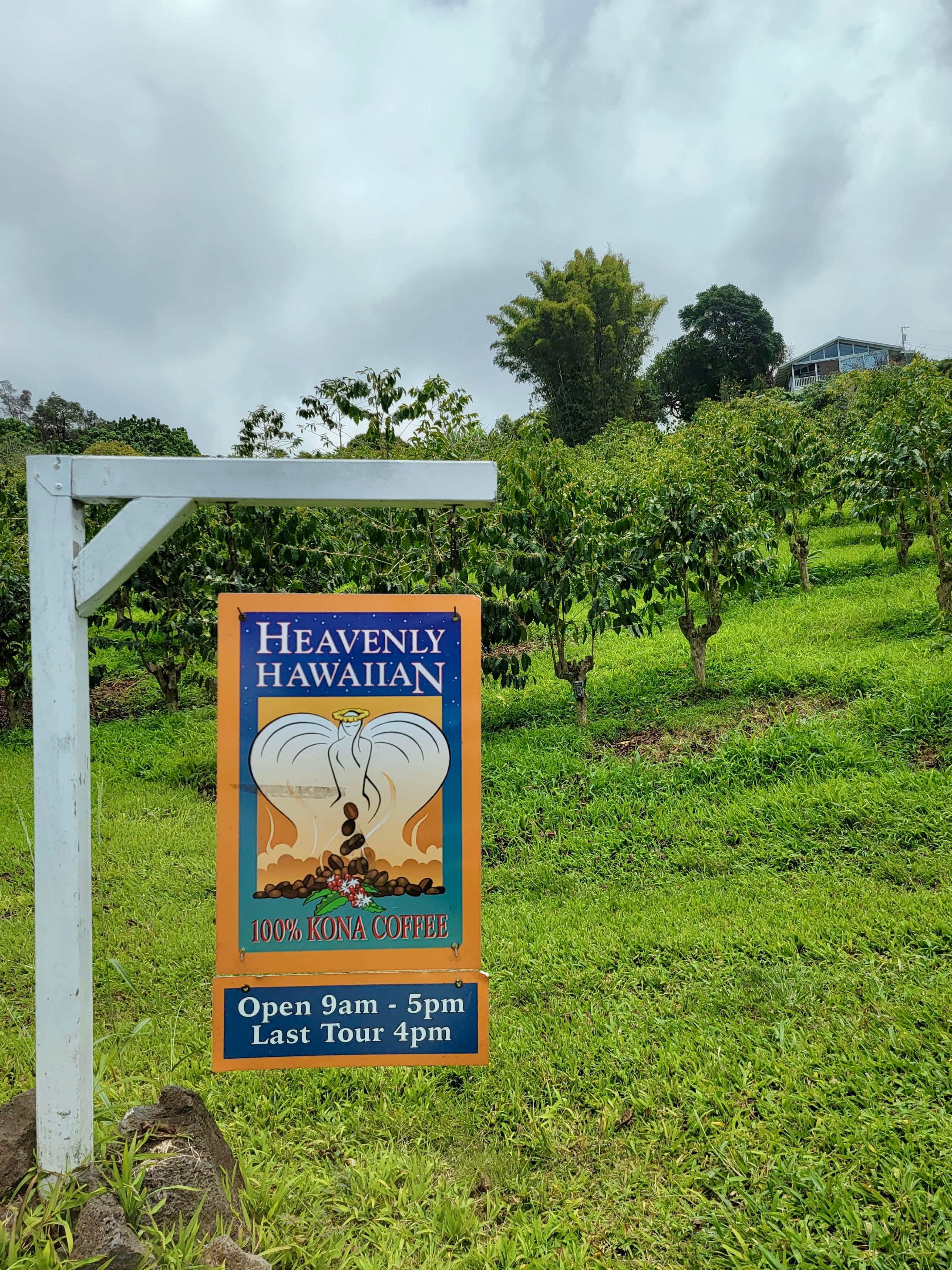 Hanging orange and blue signage for a coffee shop with a white frame surrounded by lush greenery