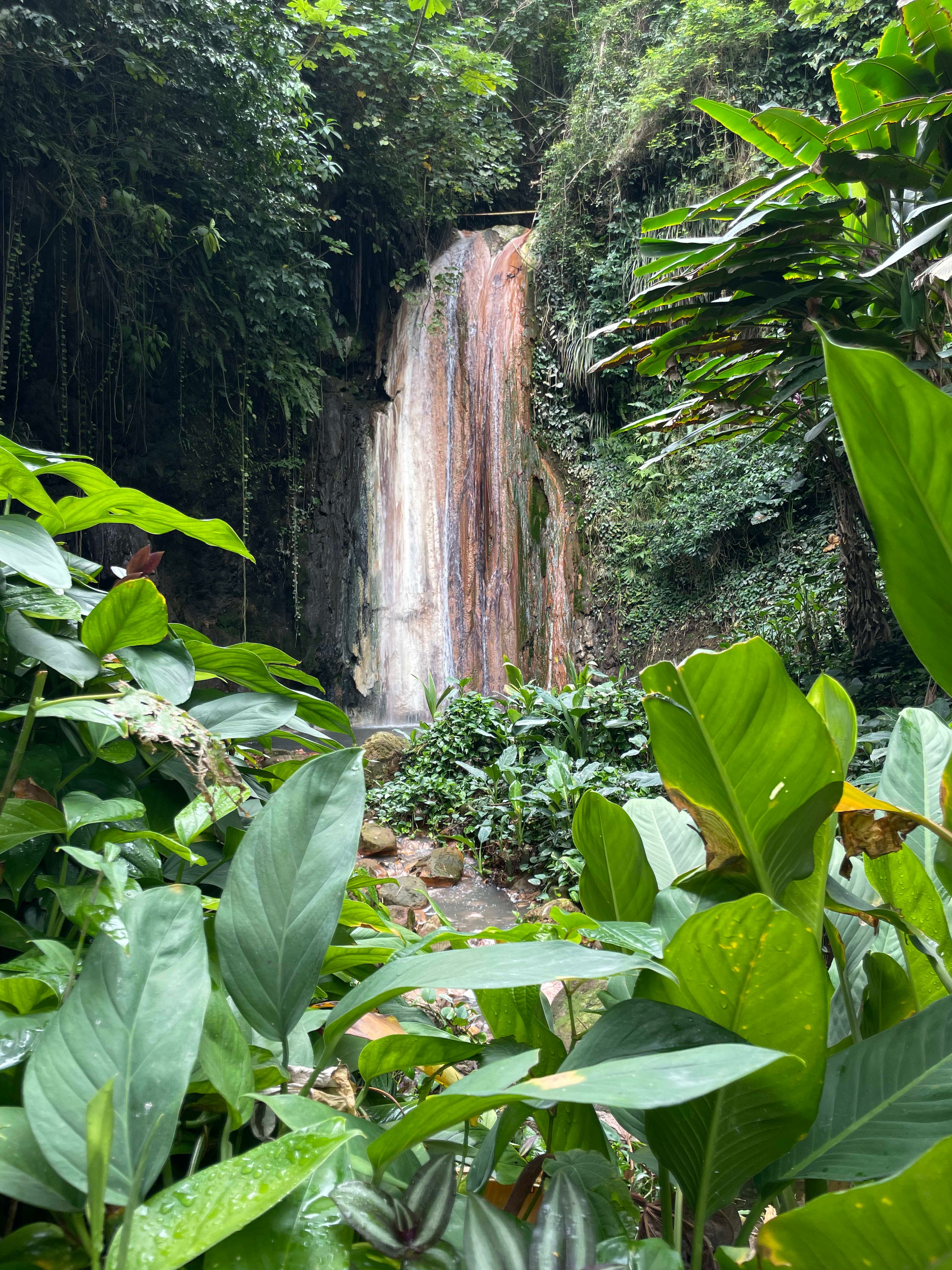 Beautiful view of a waterfall surrounded by greenery