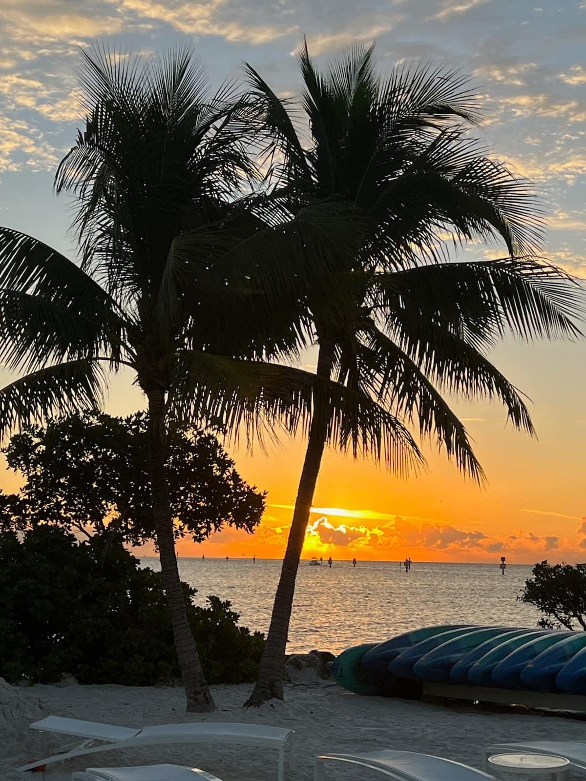 Beautiful view of palm trees on a beach with sunset over the ocean.