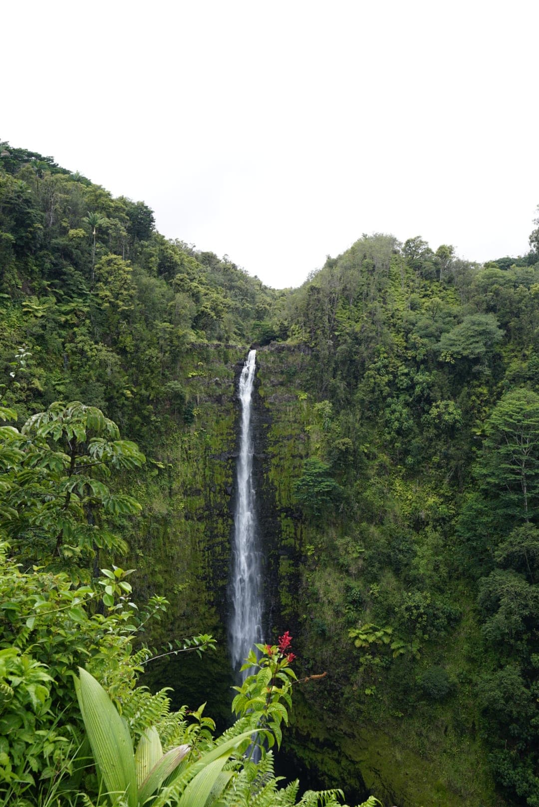 Beautiful view of the waterfall surrounded by greenery.