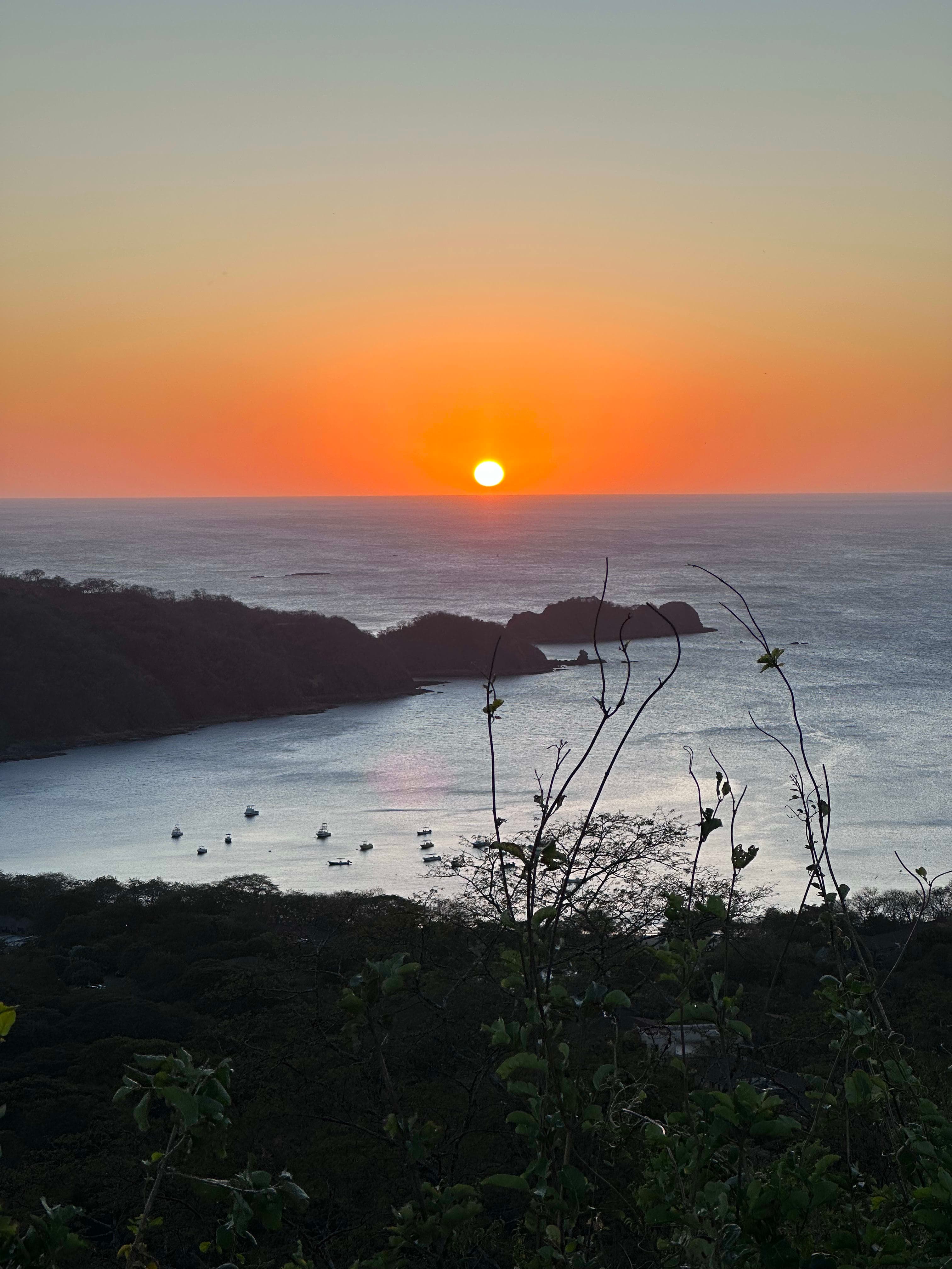 Beautiful view of a sunset with foliage and the ocean in the distance