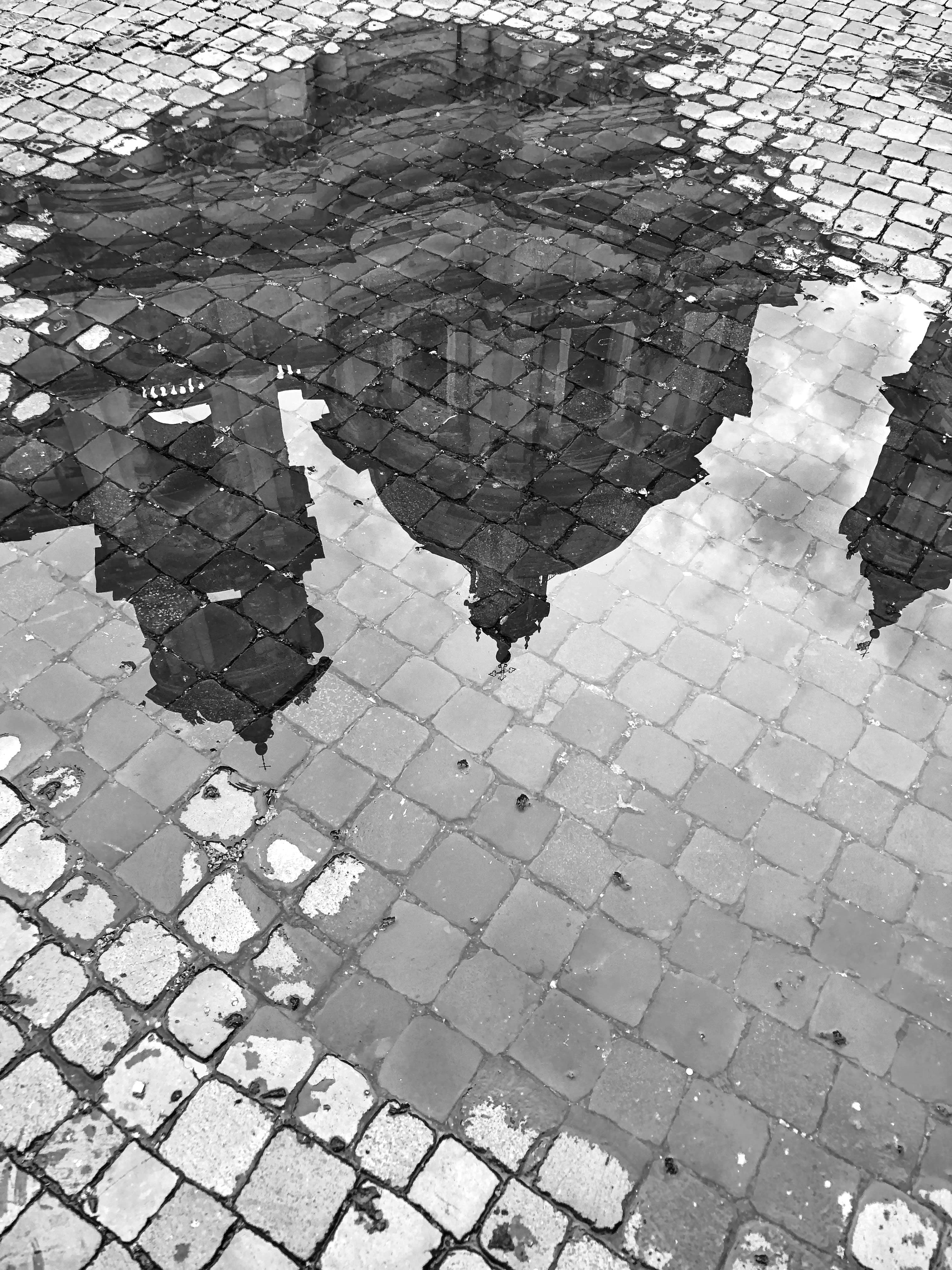 Reflection in a puddle
