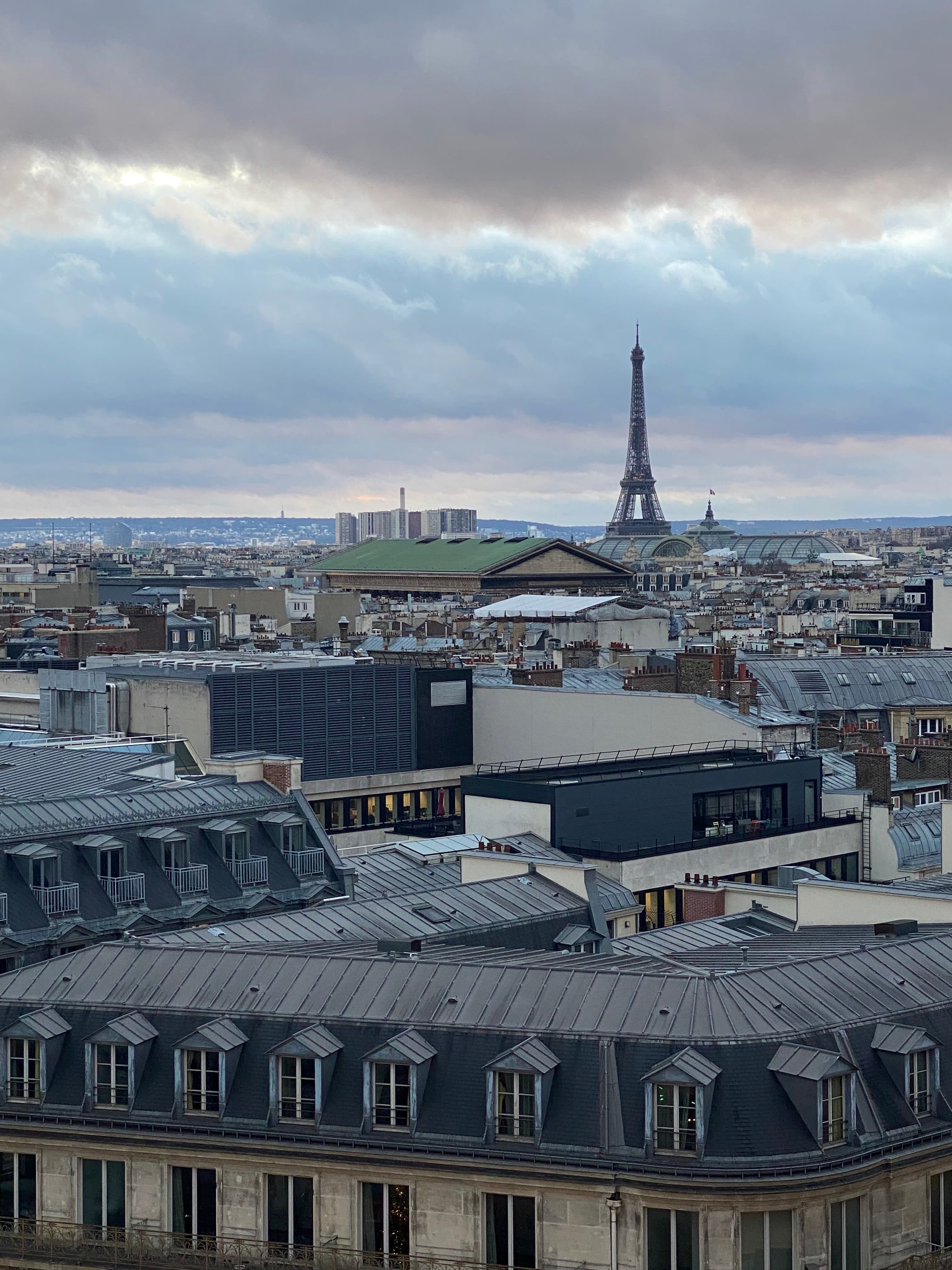 View of Paris on a cloudy day