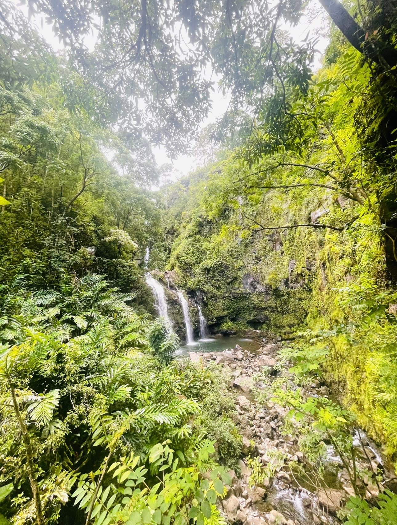 Beautiful view of the waterfall surrounded by greenery