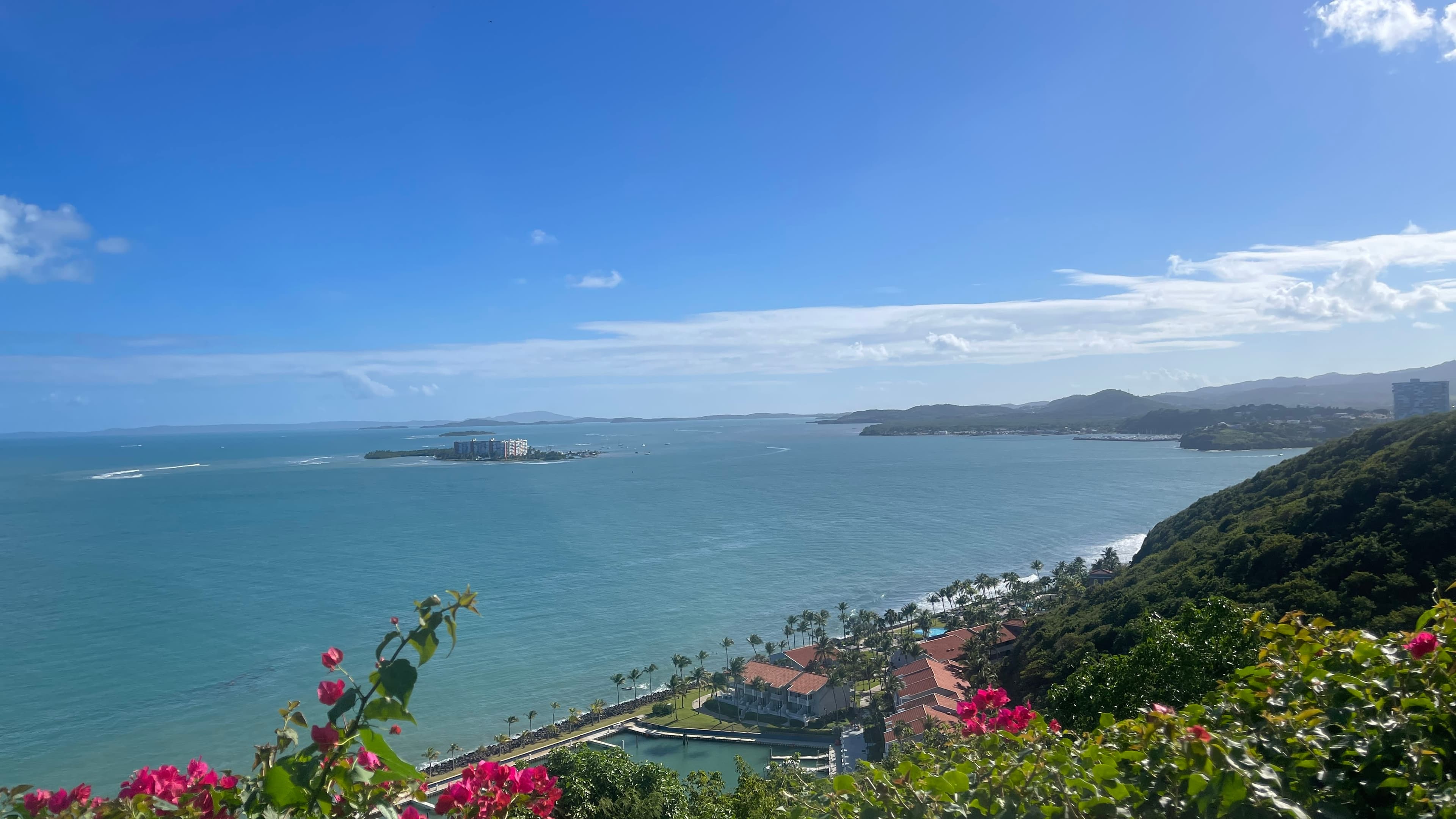 Beautiful view of the sea from the top of a hill with pink flowers and lush greenery all around