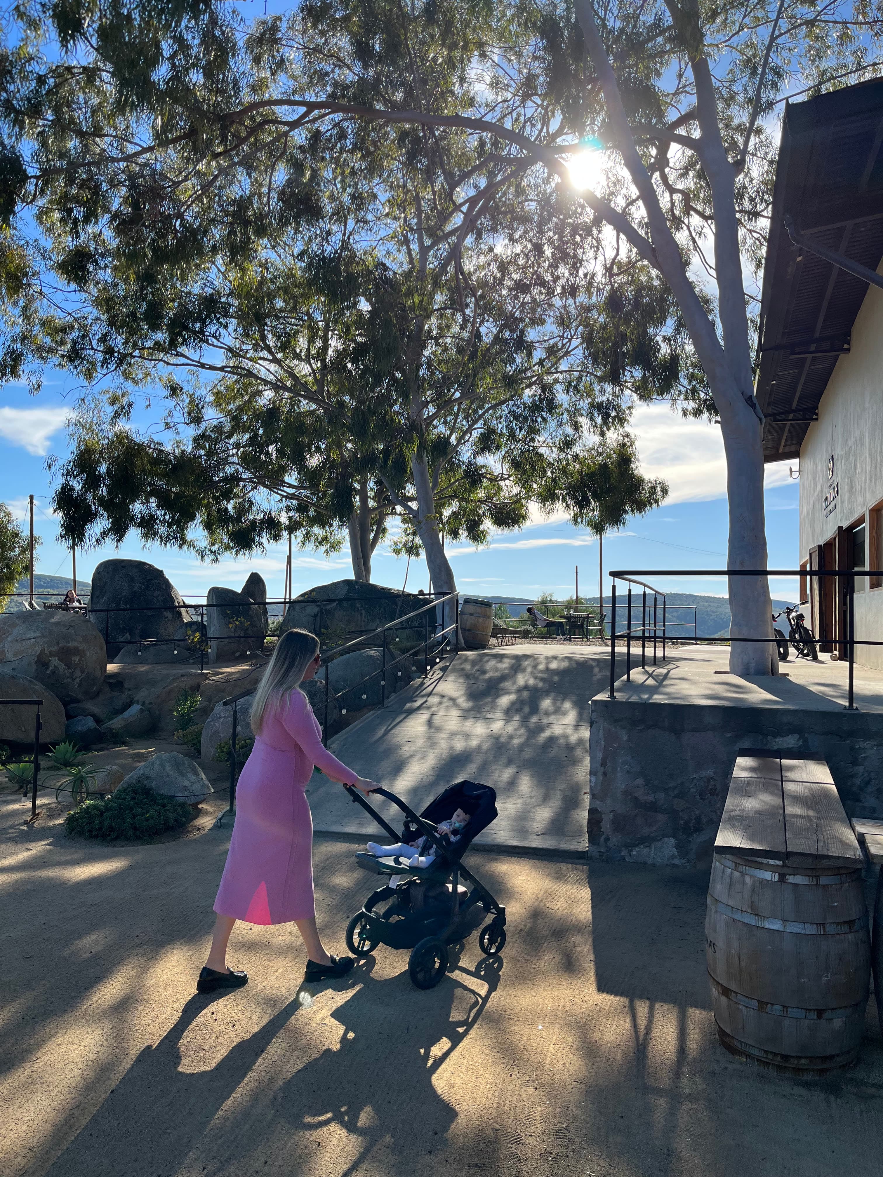 A picture of Chelsea in a pink sun dress pushing a stroller along a residential street