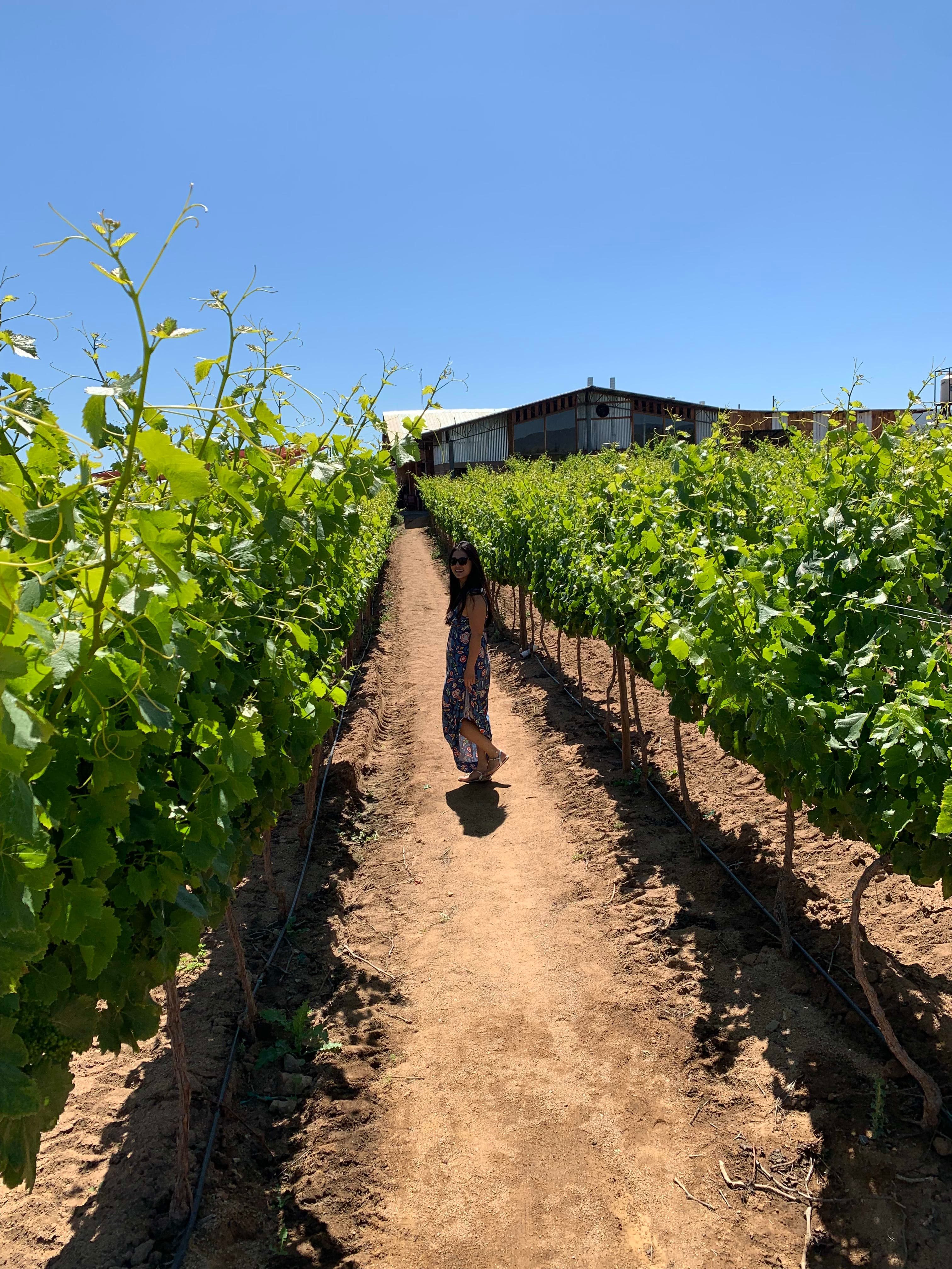 Travel advisor Leslie standing on a path between the fields of a vineyard