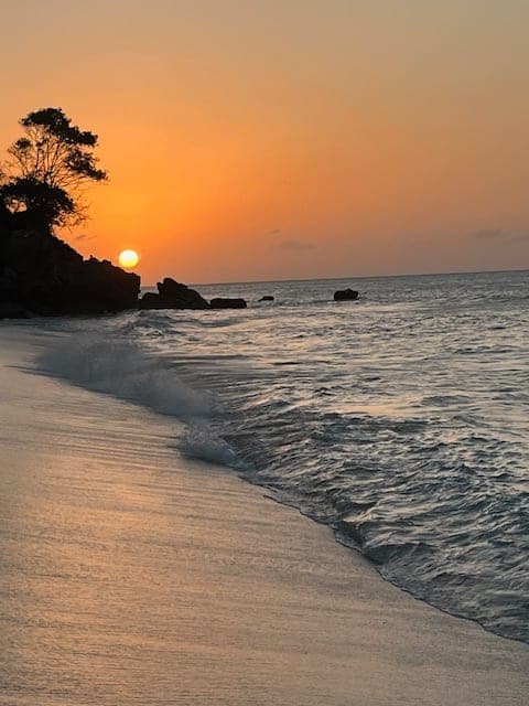 Beautiful view of beach at sunset
