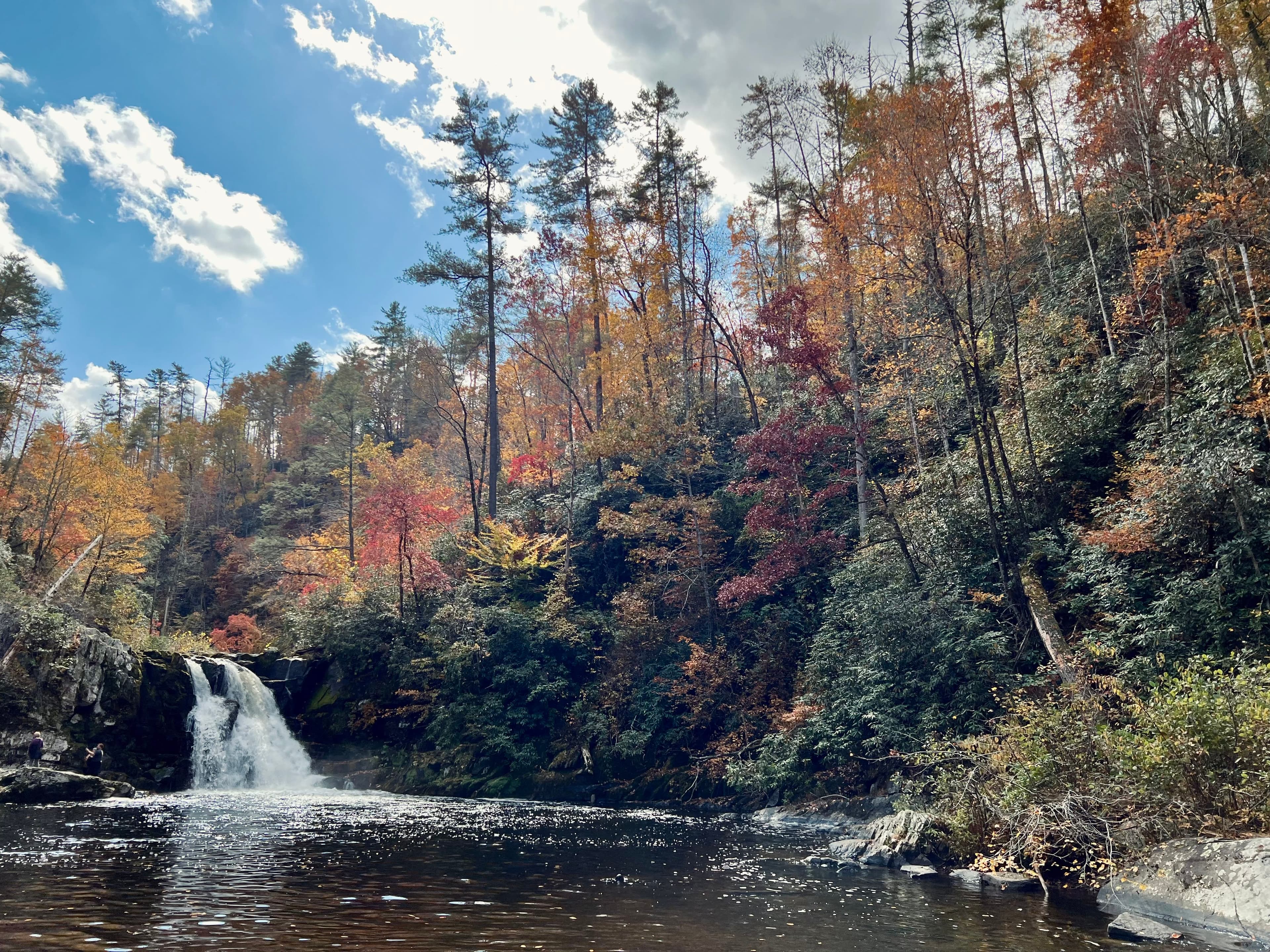 A waterfall into a river with fall-colored trees surrounding it.