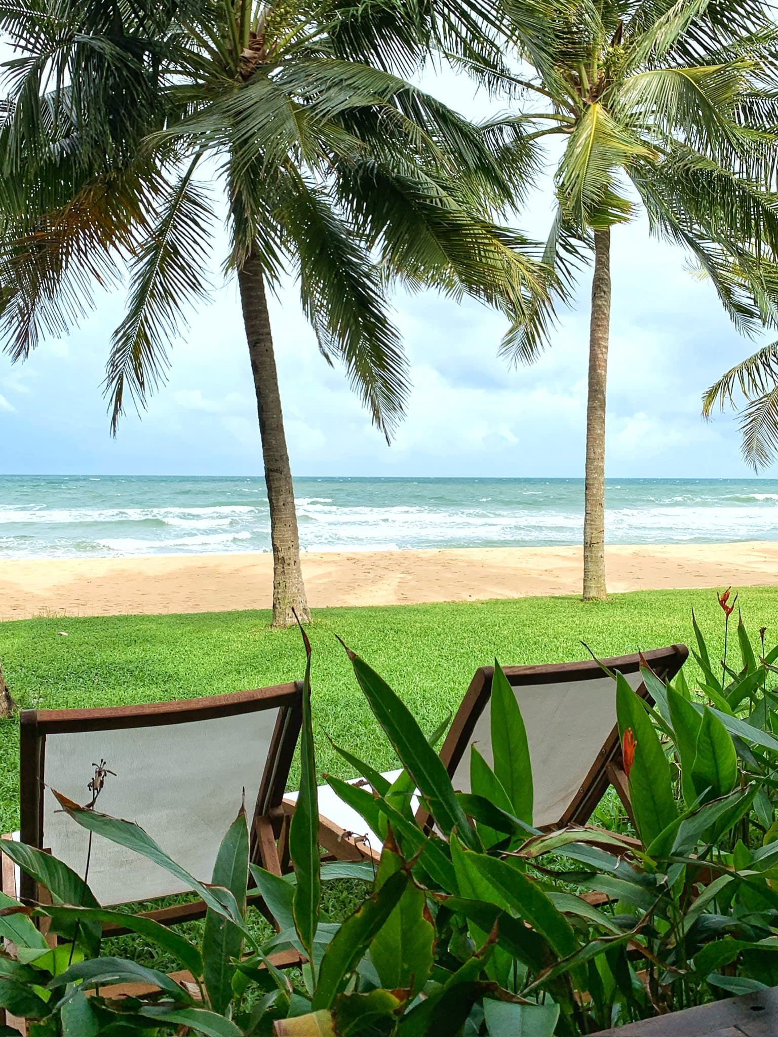 Two lounge chairs on a green lawn with palm trees overlooking a beach.