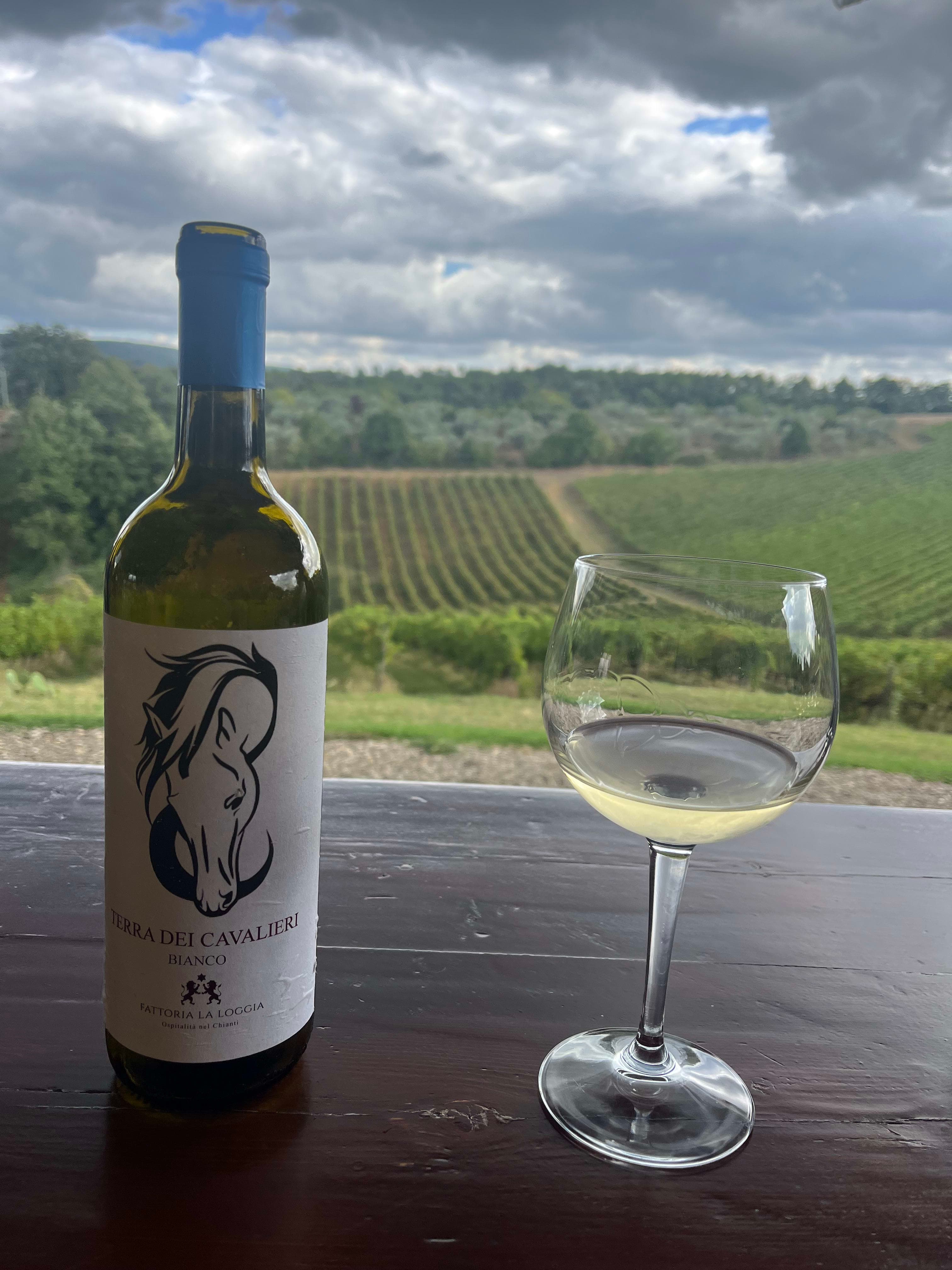 A bottle of wine with a glass next to it on a table overlooking a vineyard.