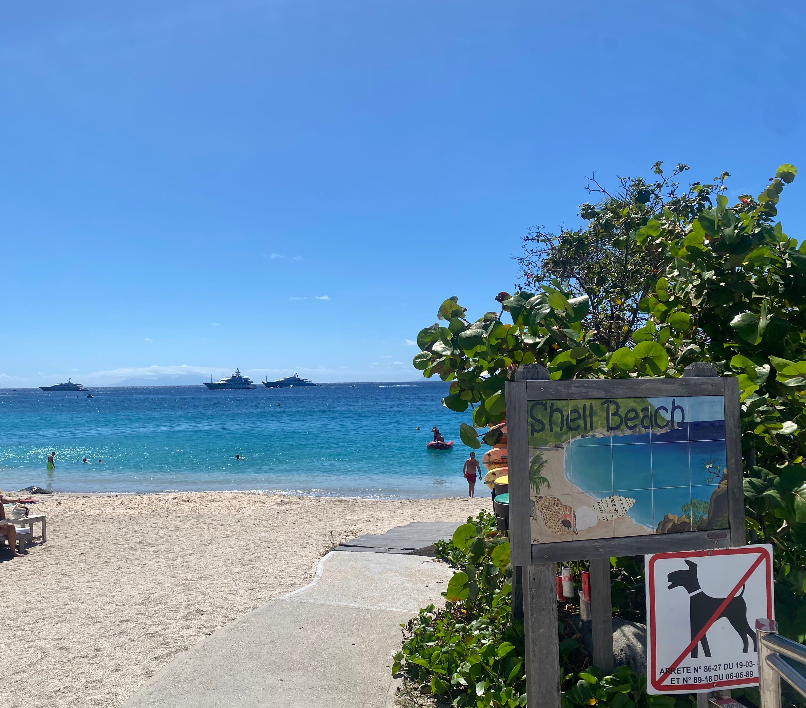 A white sand beach with a sign that says "Shell Beach" and a "no dogs" sign