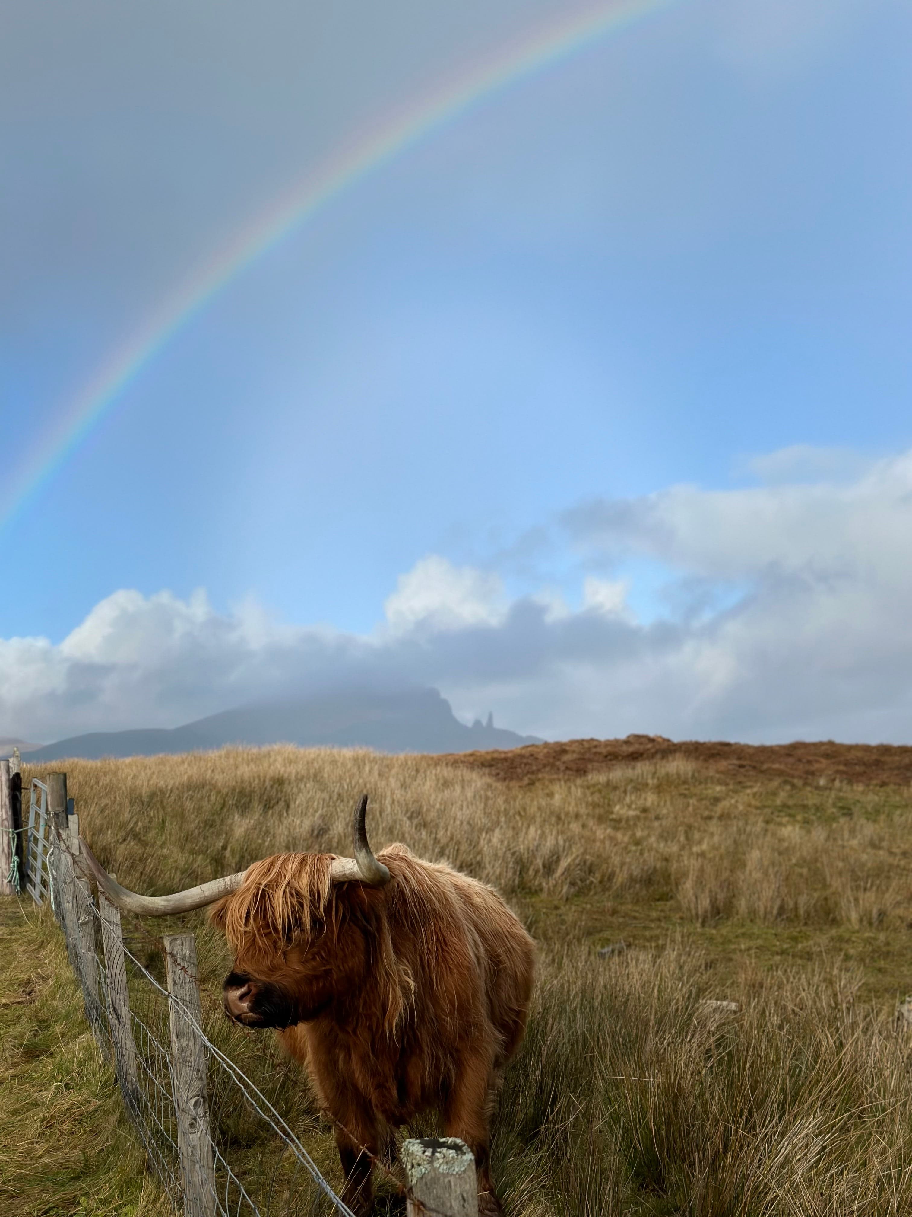 Beautiful view of rainbow in sky