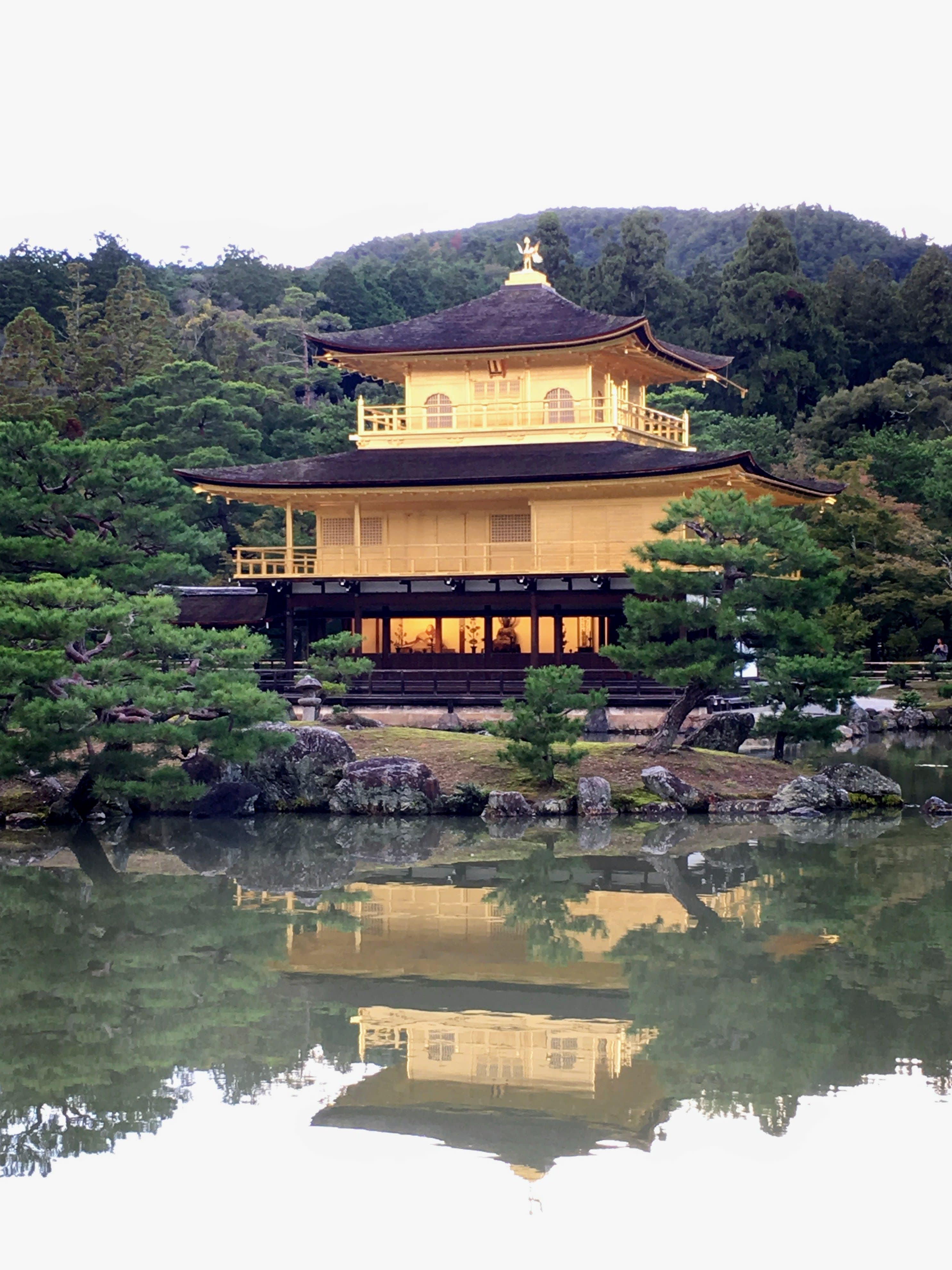 A view of the Kinkaku-ji temple with a pond and trees surrounding it