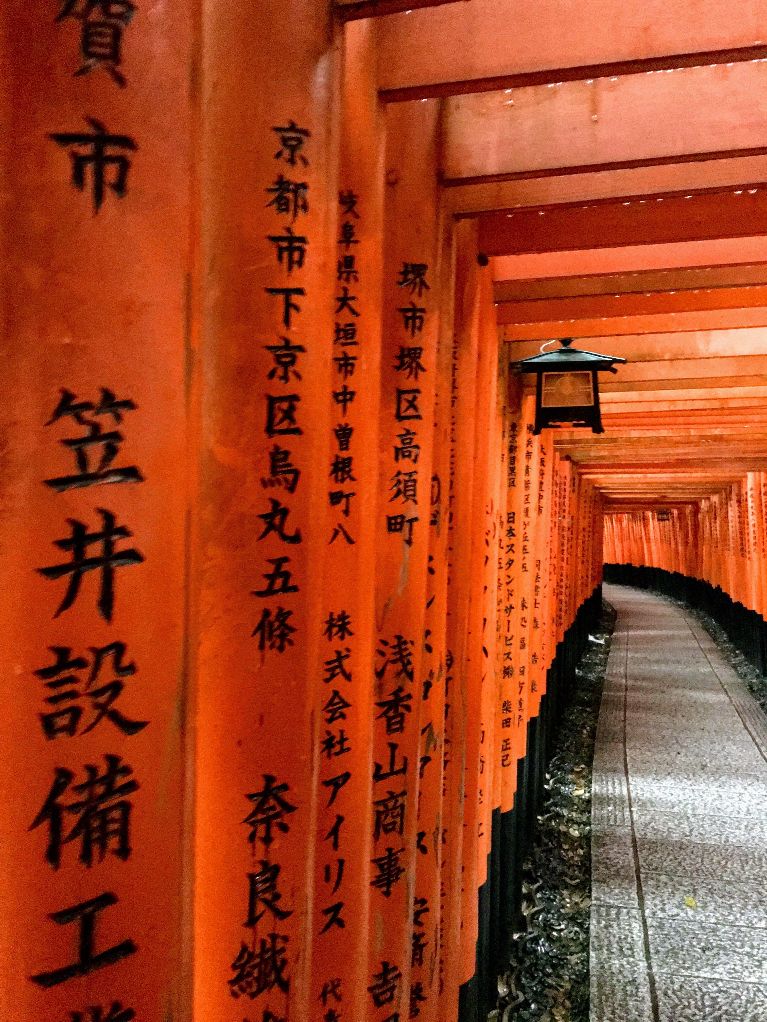View of the mountainside shinto shrine featuring a path with thousands of traditional red gates with Japanese writing on them