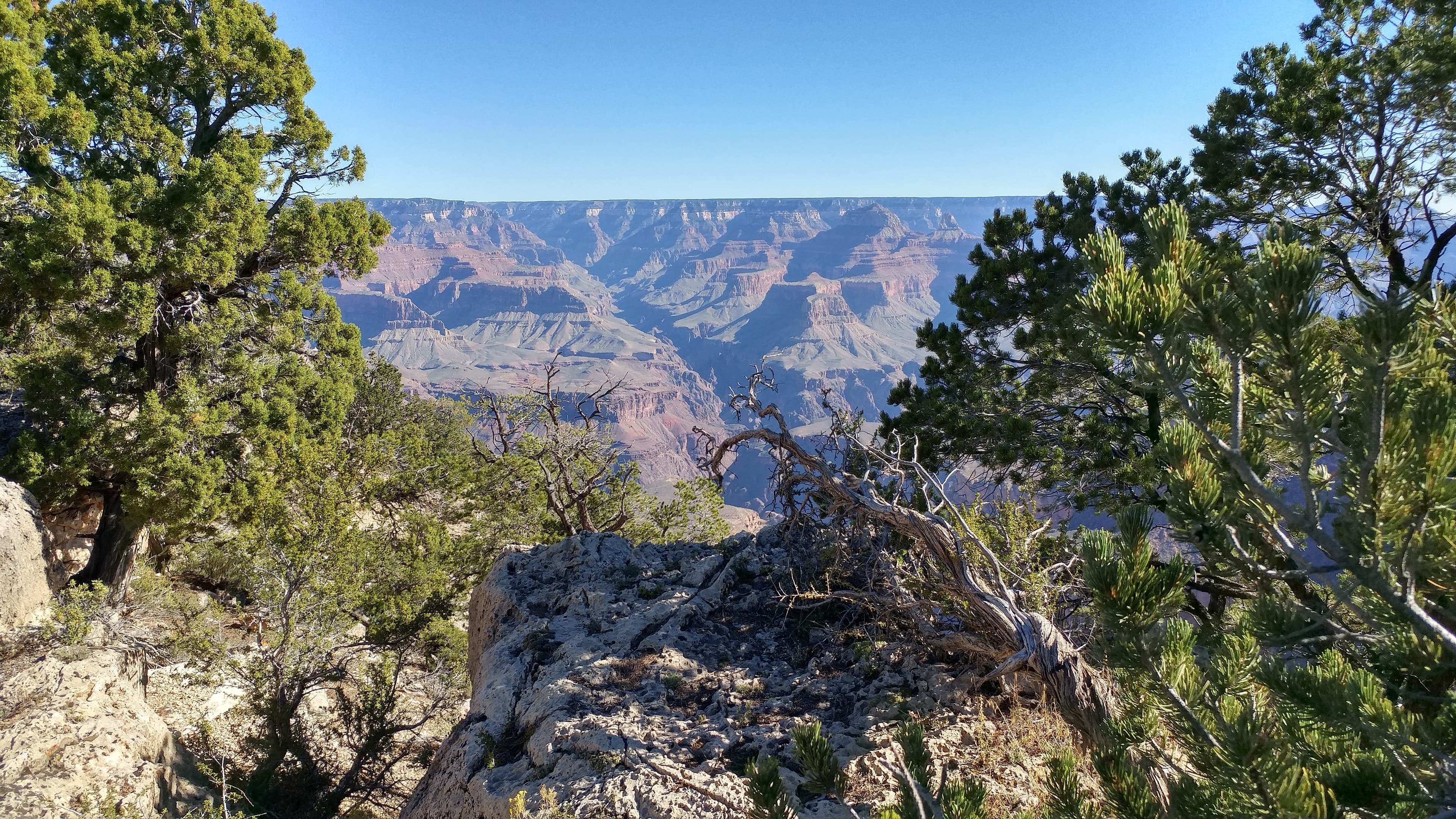 View of the Grand Canyon National Park in Arizona