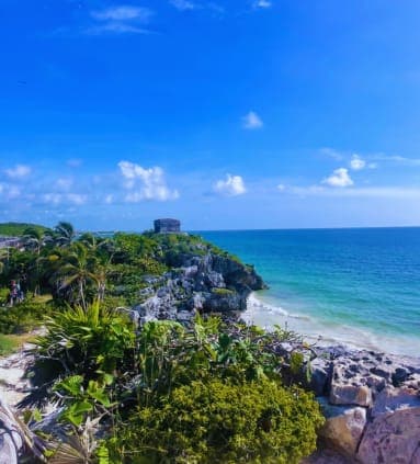 View of a beach in Tulum, Mexico with lots of trees and shrubs in view