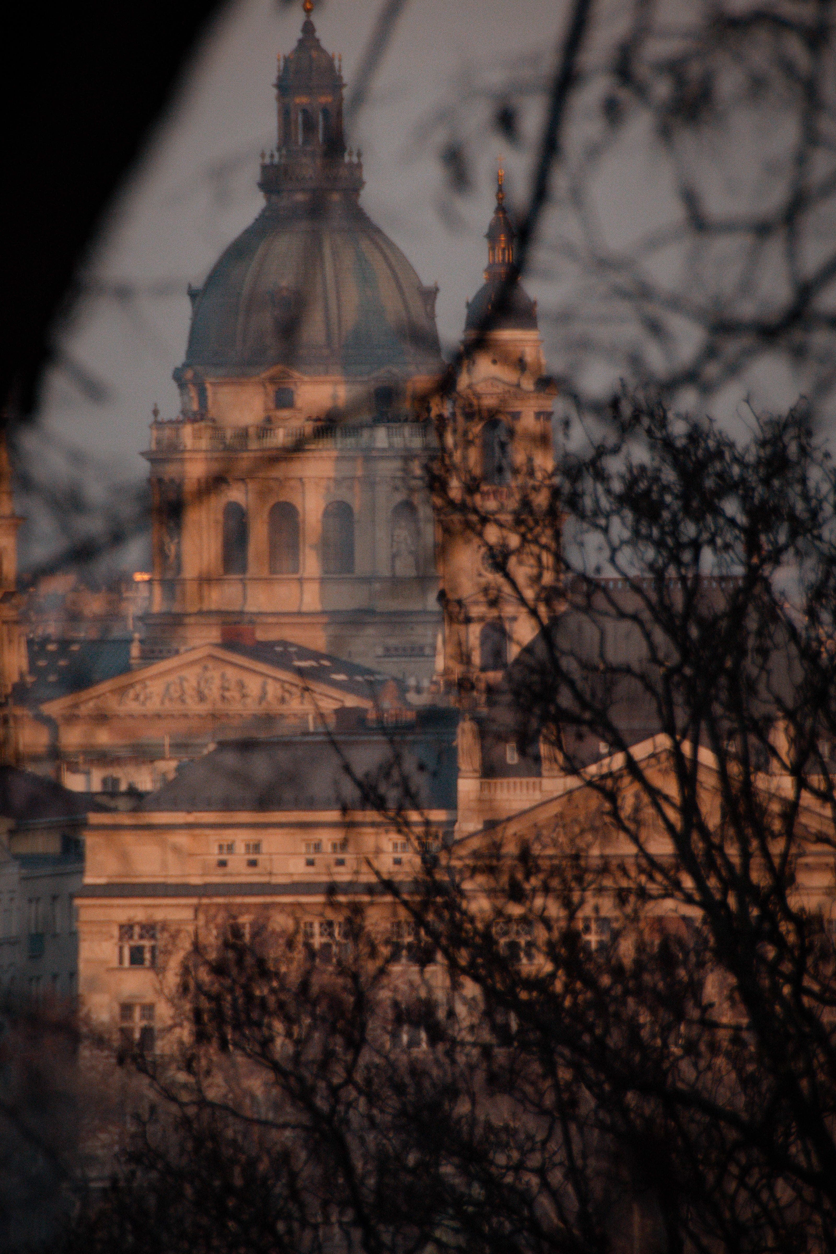 View of St. Stephen's Basilica through the trees