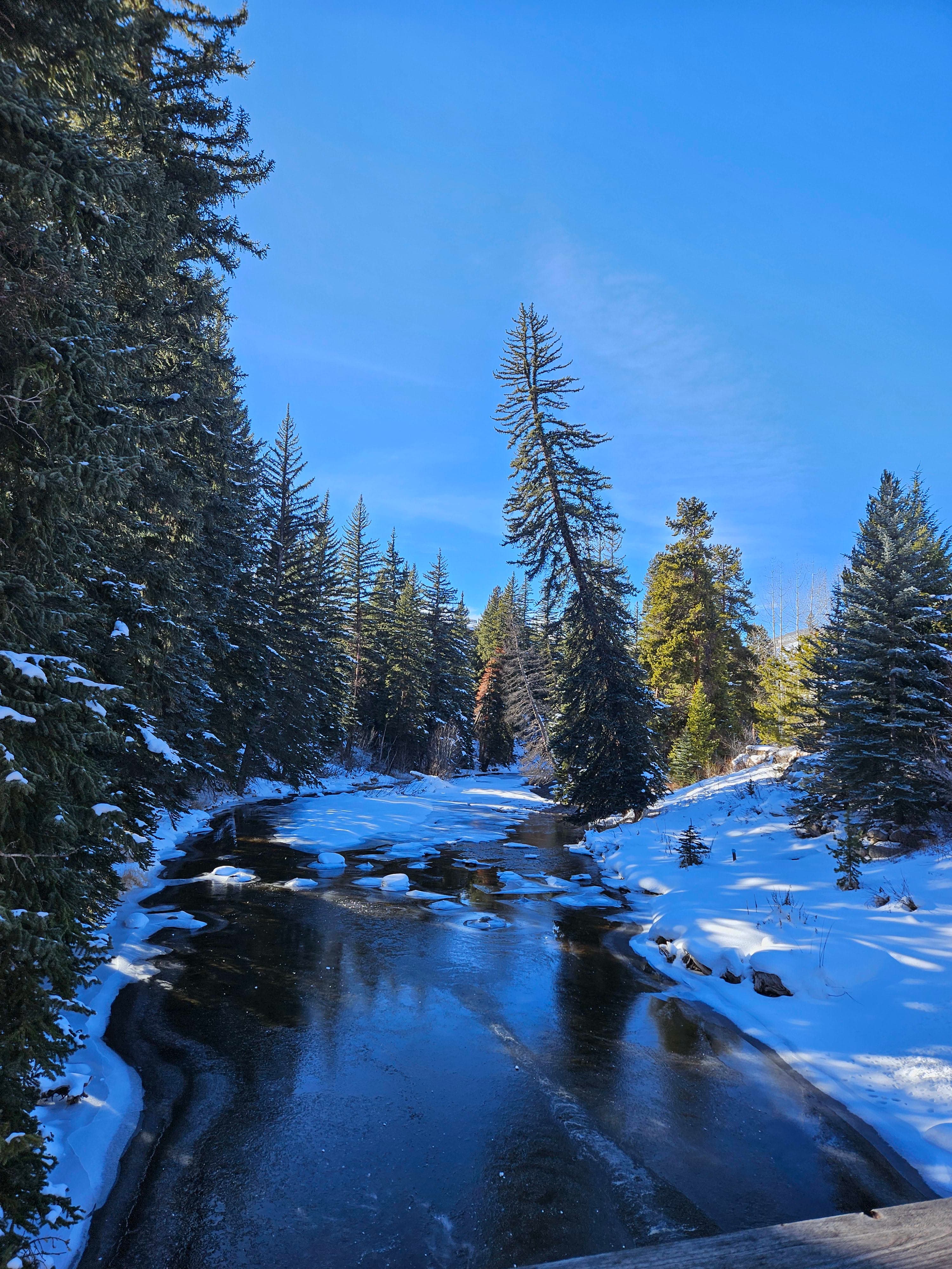 Beautiful view of snow covered area