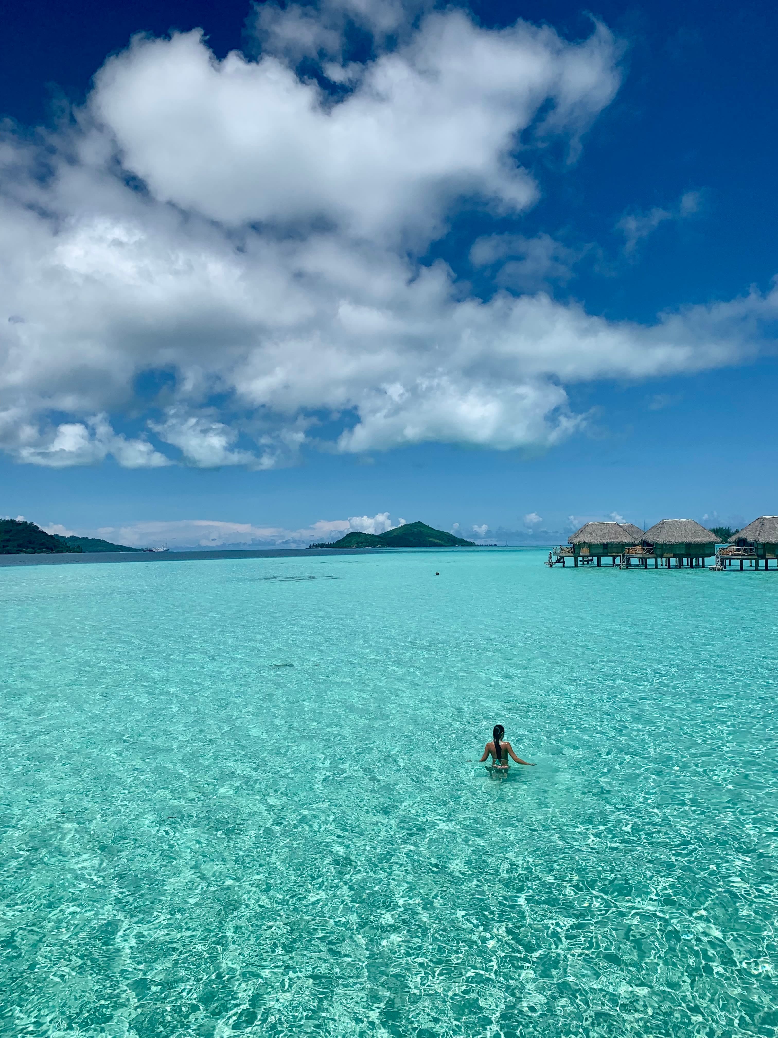 Swimming in the clear blue water of the sea