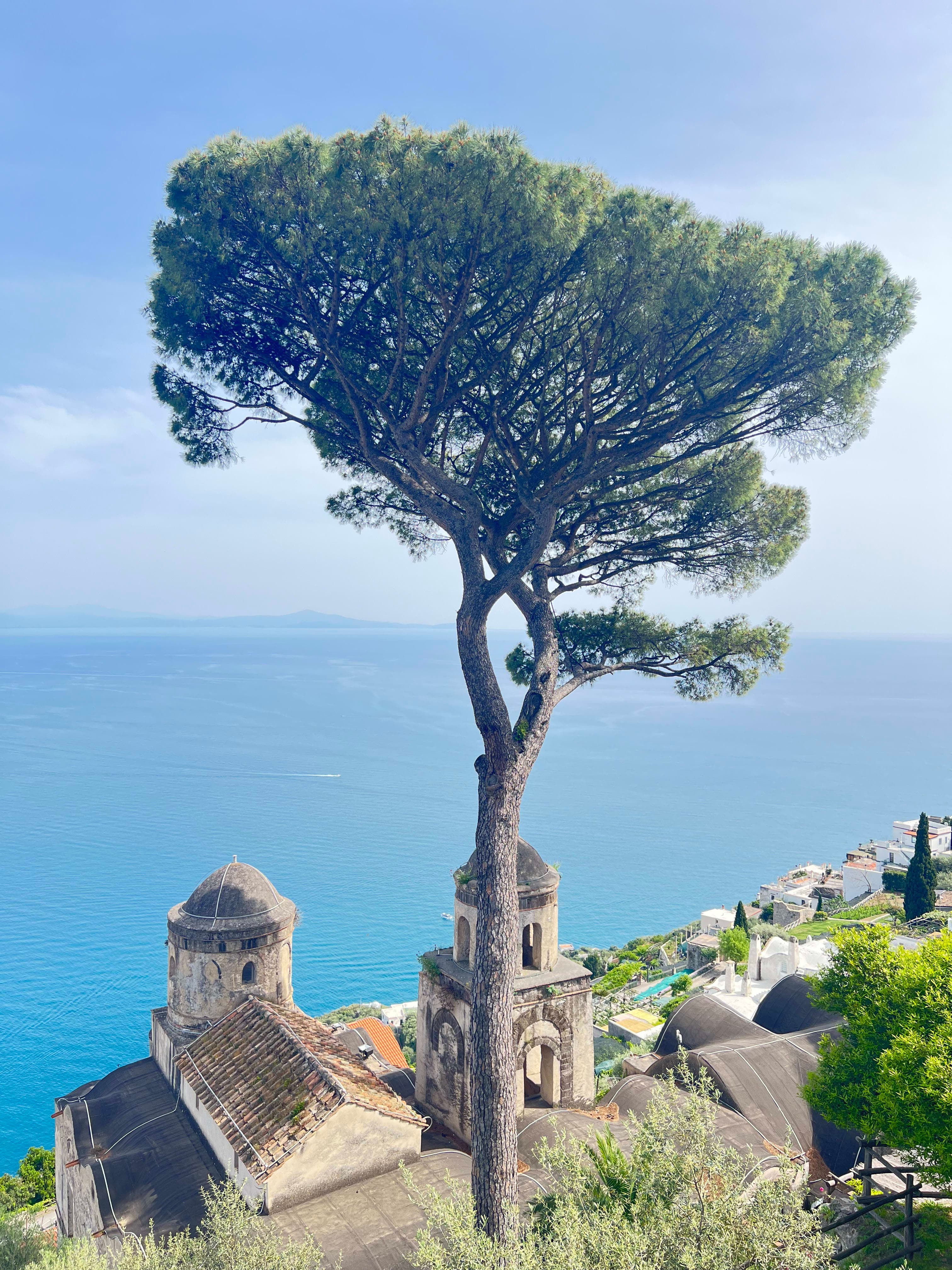View of a huge tree in front of Villa Rufolo, clear blue water of the sea is also visible in the background