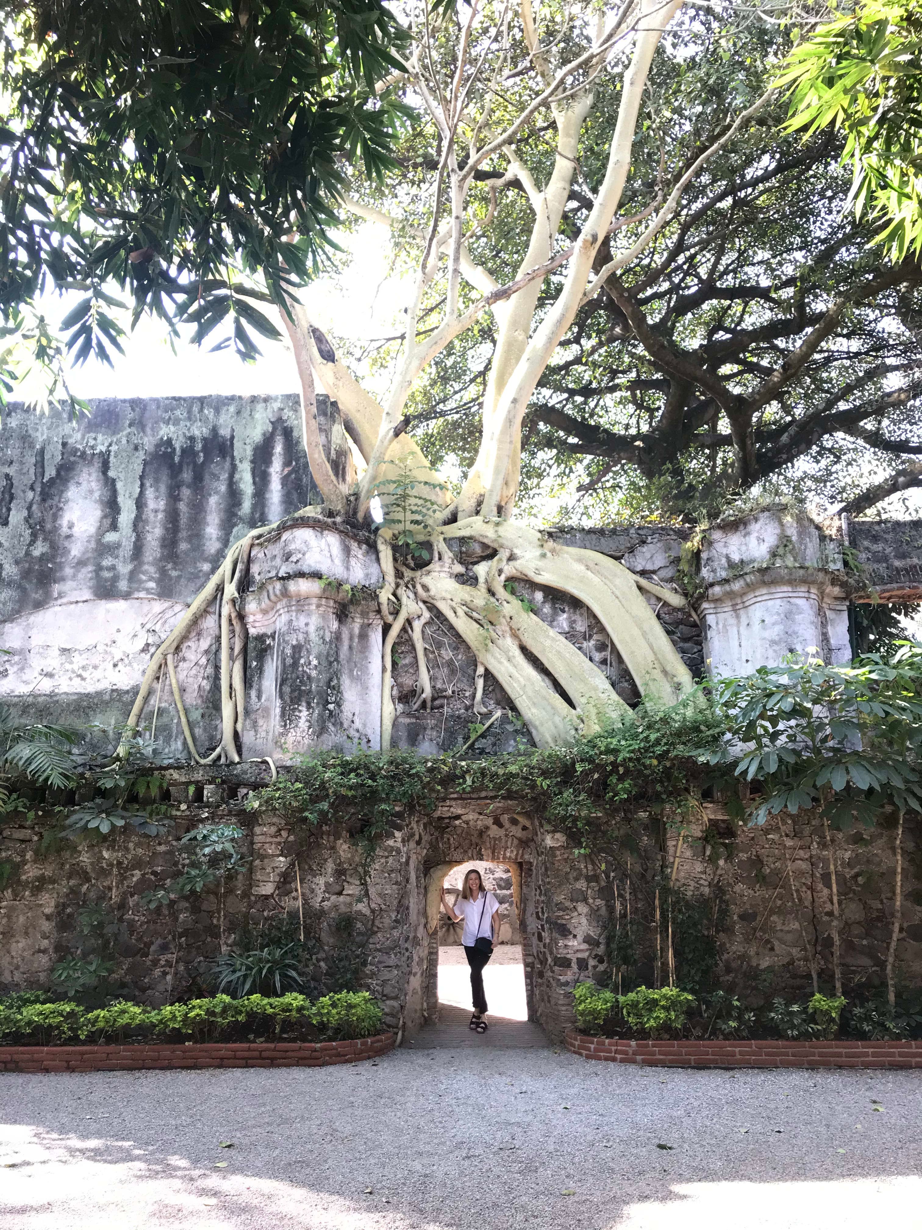 Standing in the entrance of Hotel Hacienda de Cortes