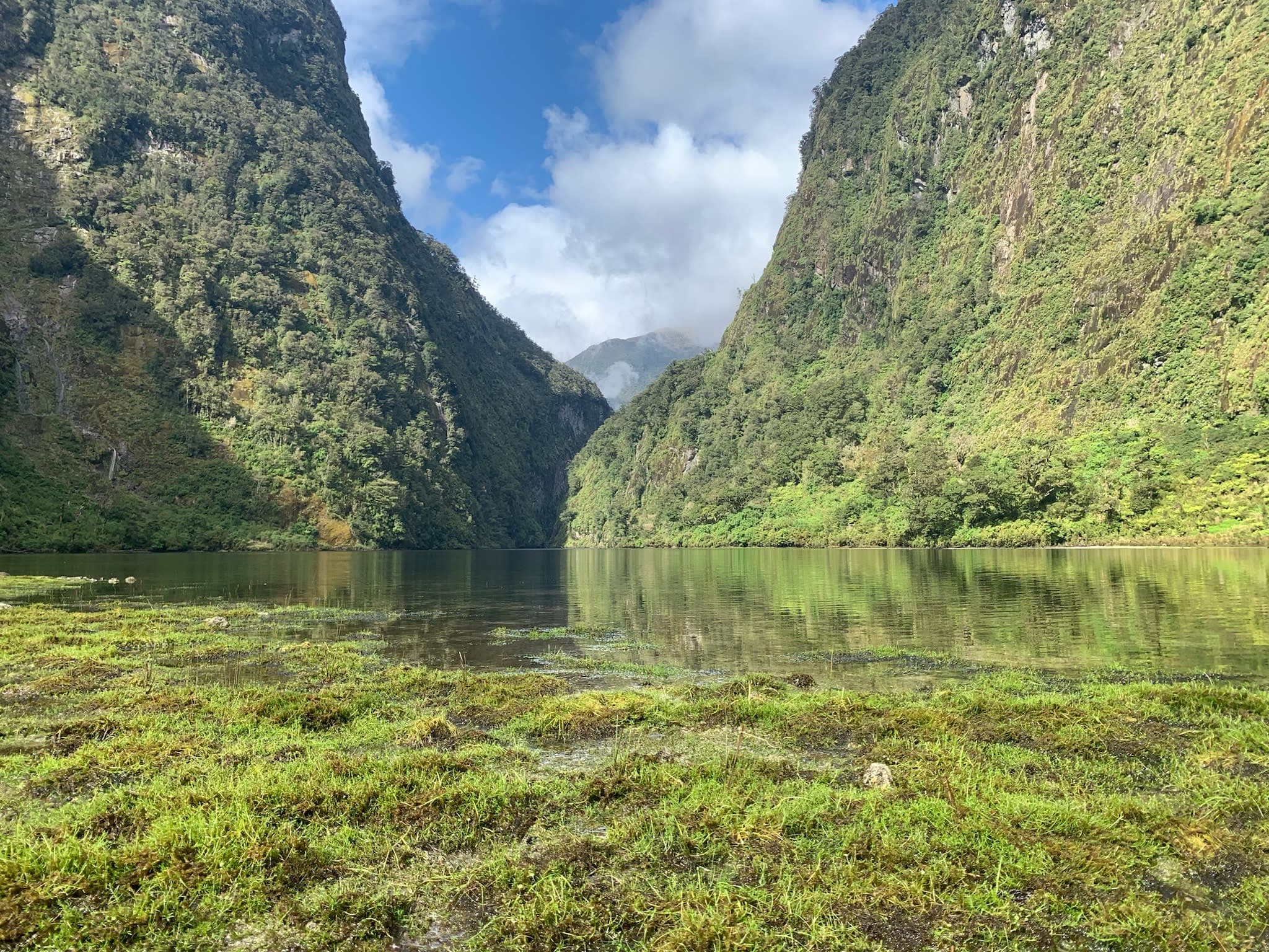 Beautiful view of lush green valley filled with water in front of a blue sky and white clouds