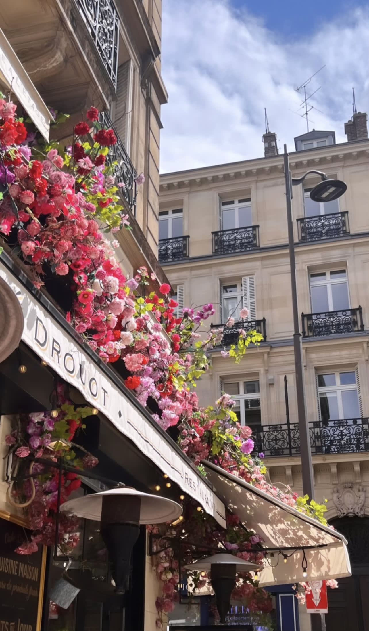 buildings view with flowers