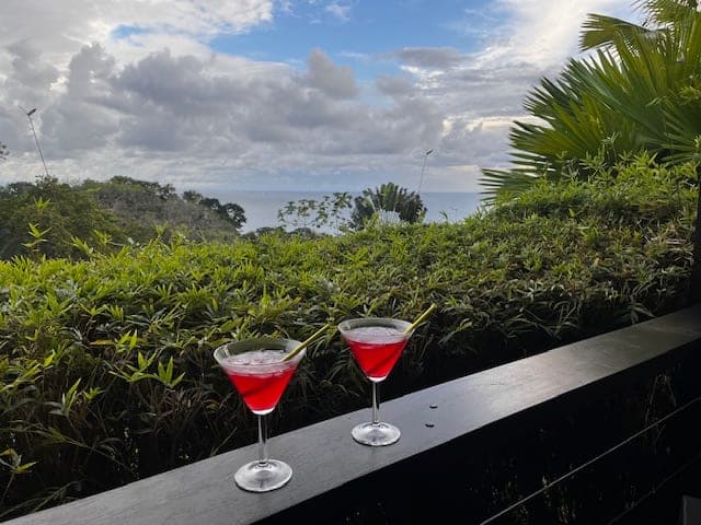 A picture of two red cocktails in martini glasses on a wall overlooking lush greenery and the ocean in the distance