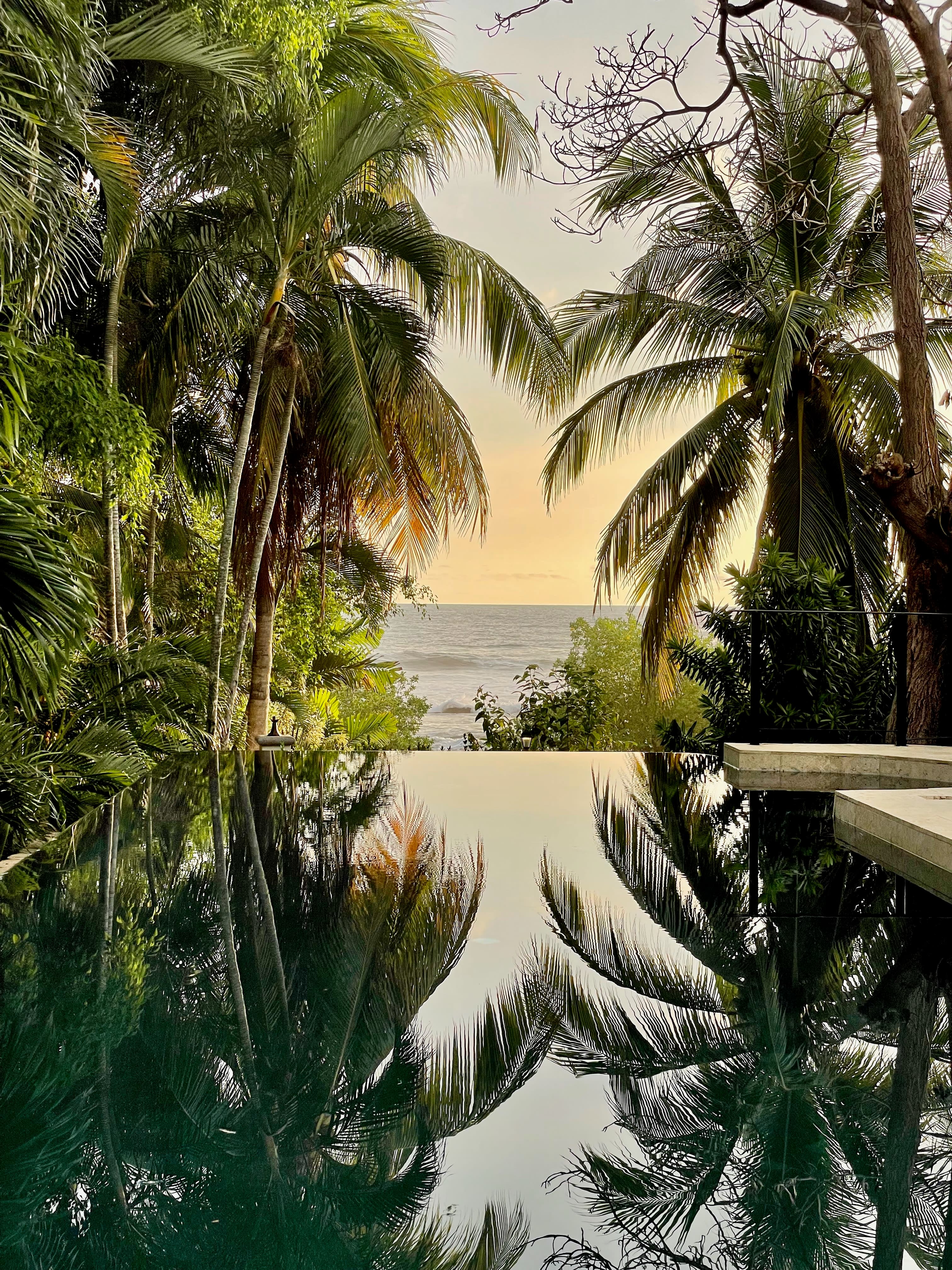 Beautiful view of sea behind the trees