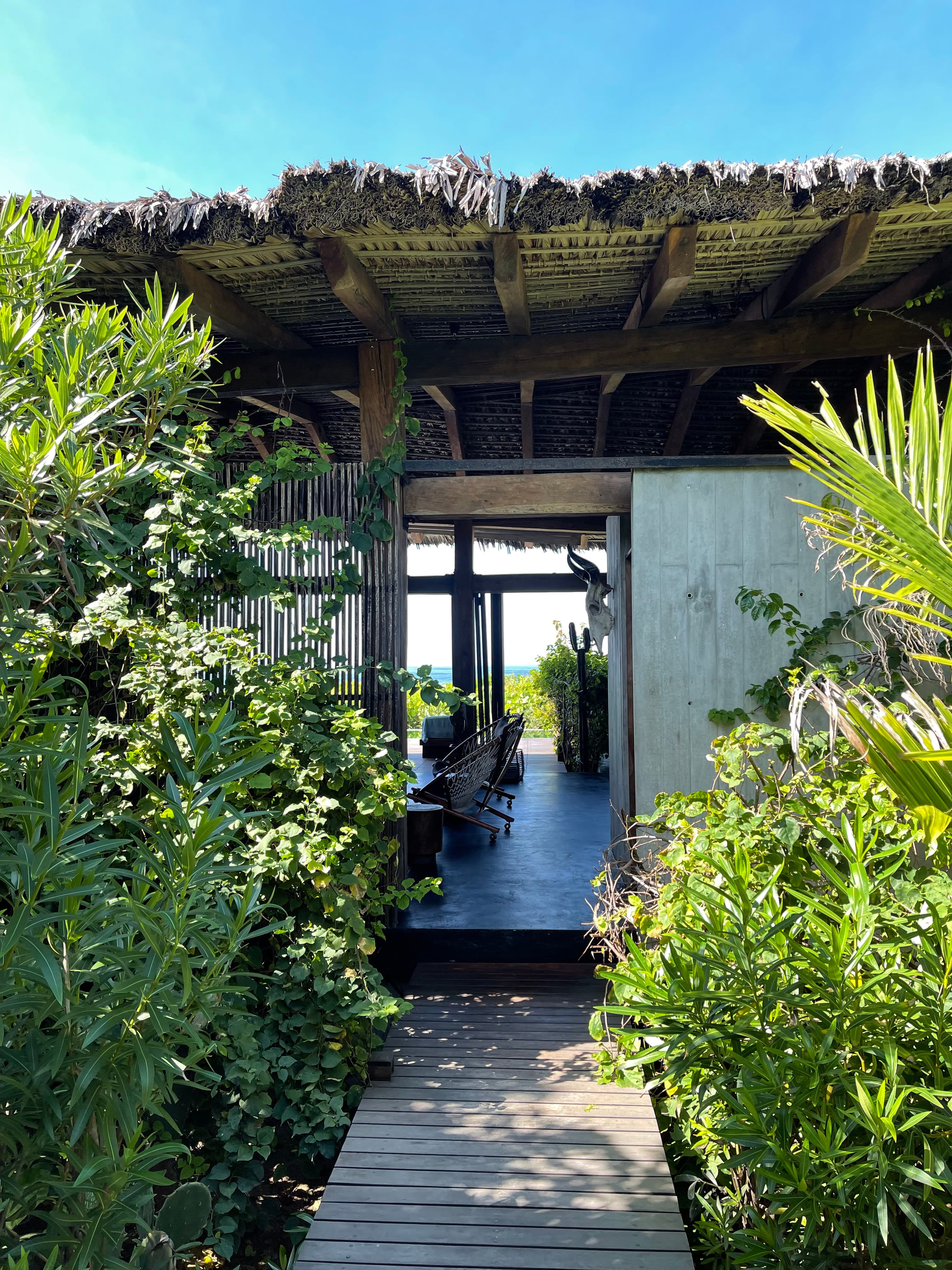A photo of the entryway, lined by plants on either side, of a bungalow type house