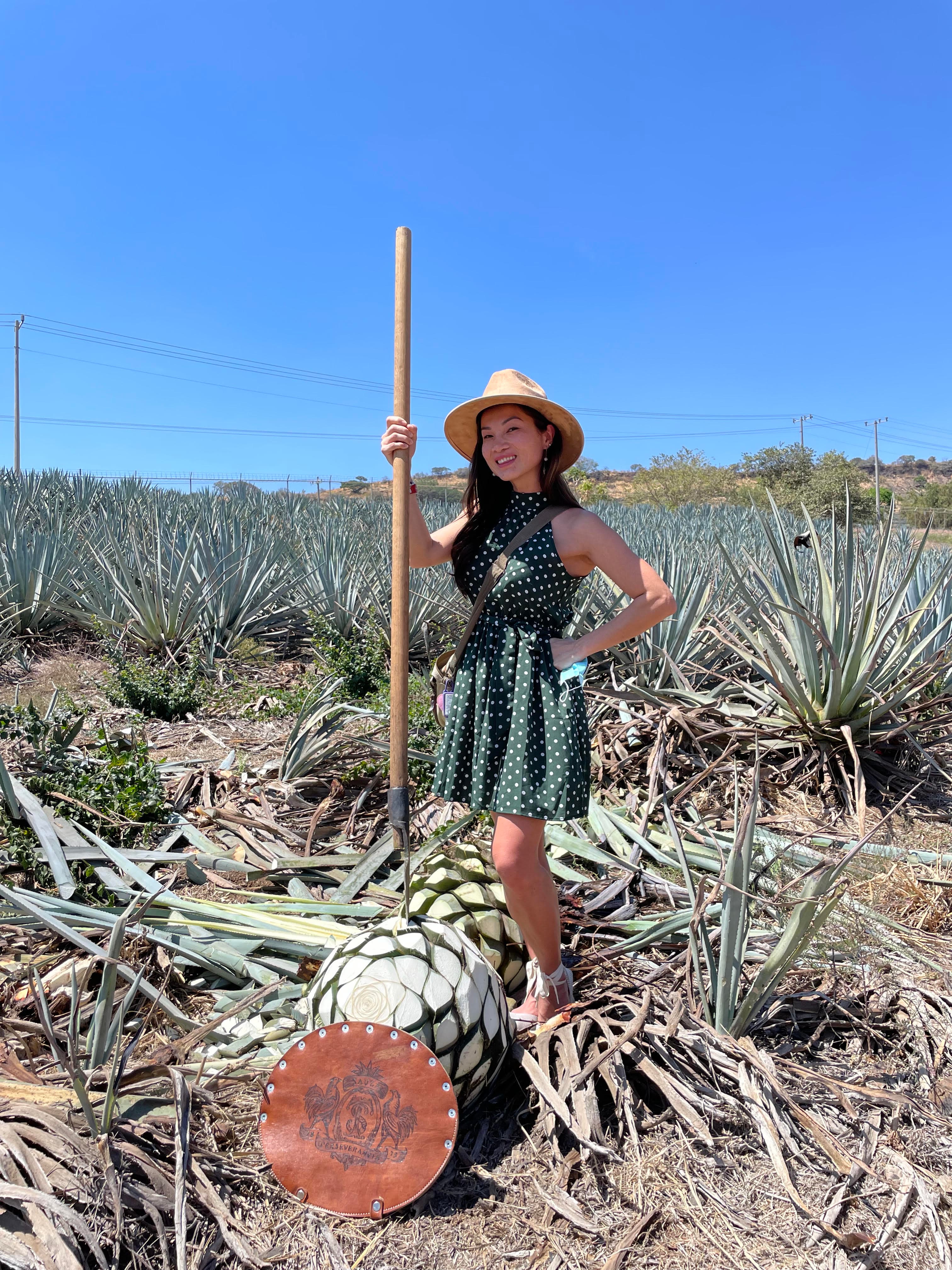 working in the fields