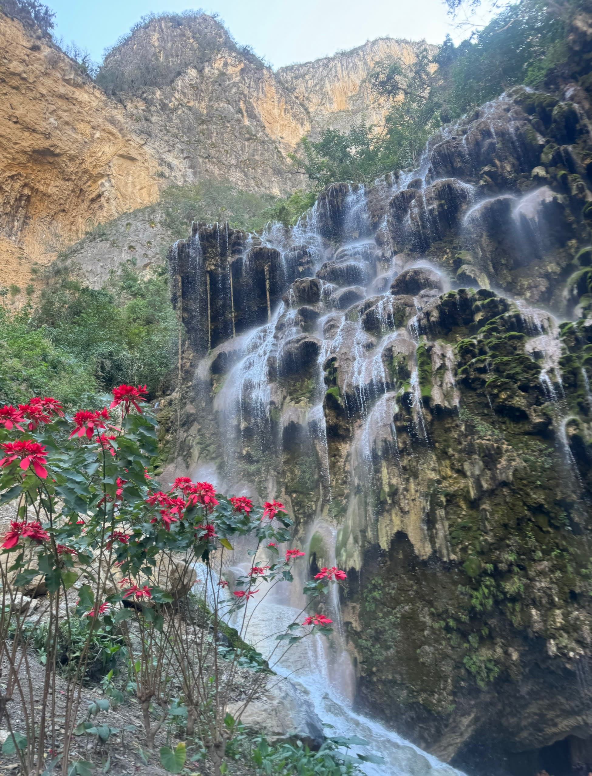 A gentle waterfall over rocks with green trees and red flowers surrounding it.