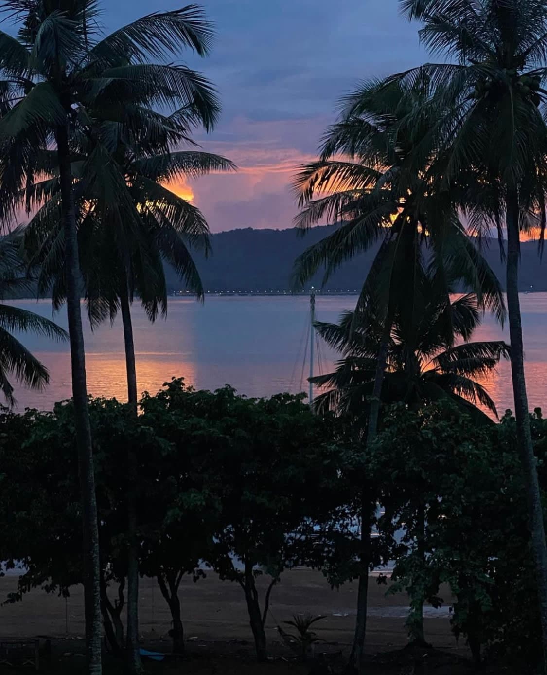 beautiful view of large palm trees in front of the sea and an orange and blue sunset