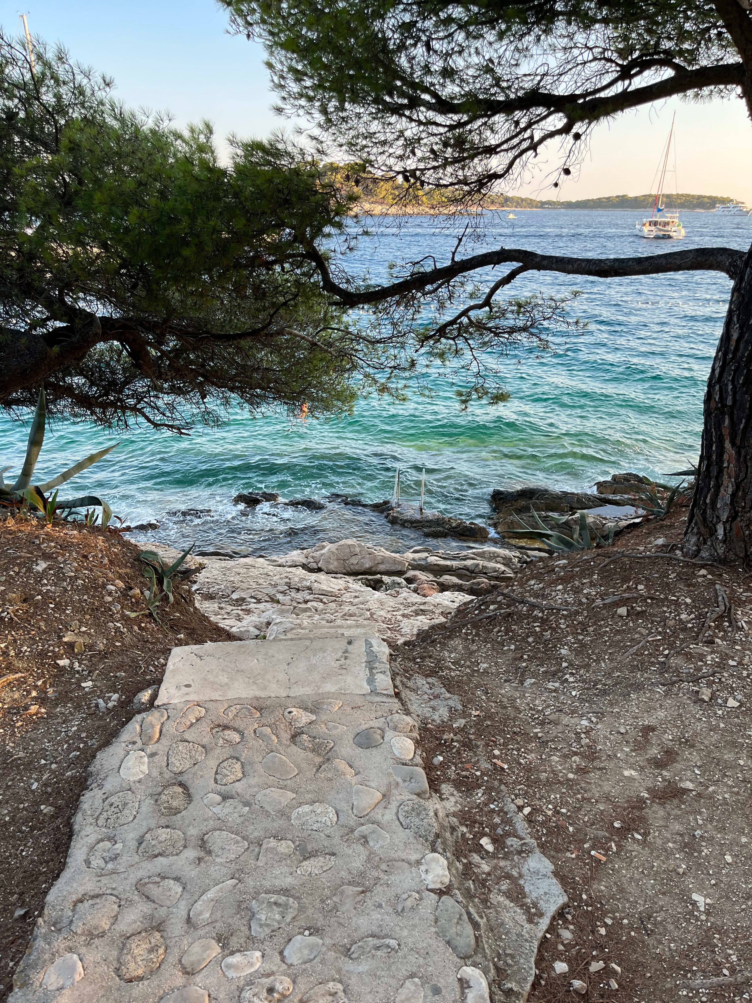 Beautiful view of a stone path stretching to sea with tree branches hanging above