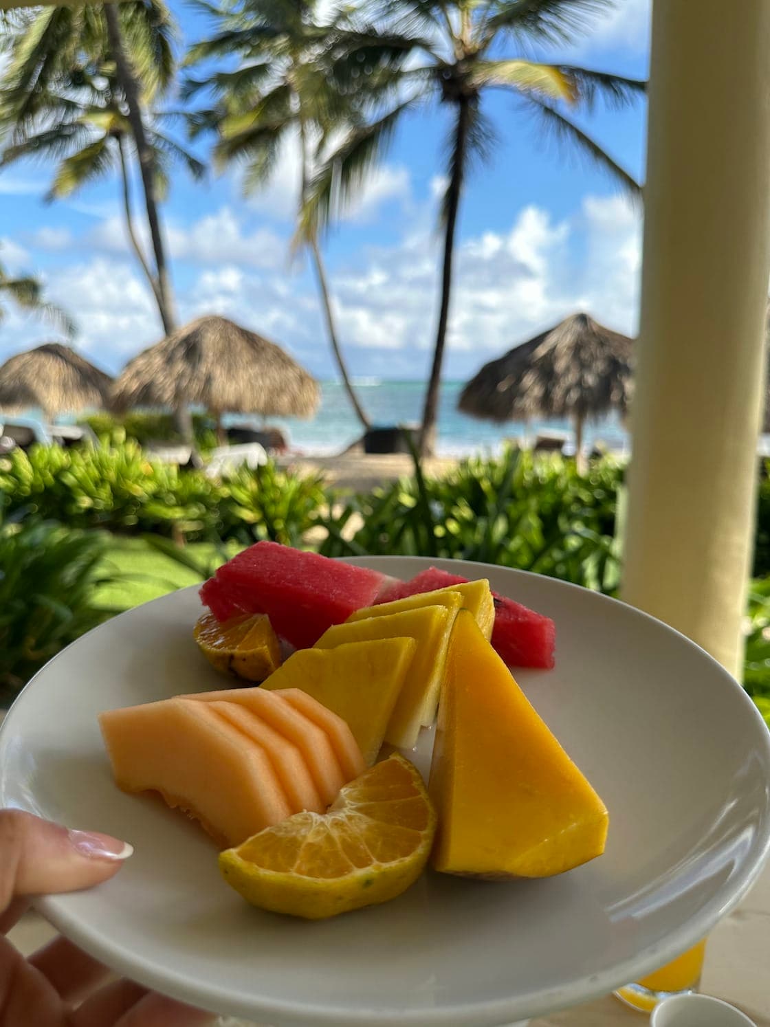 Fresh fruit platter with a beautiful view of palm trees and thatch-roof beach huts in the background