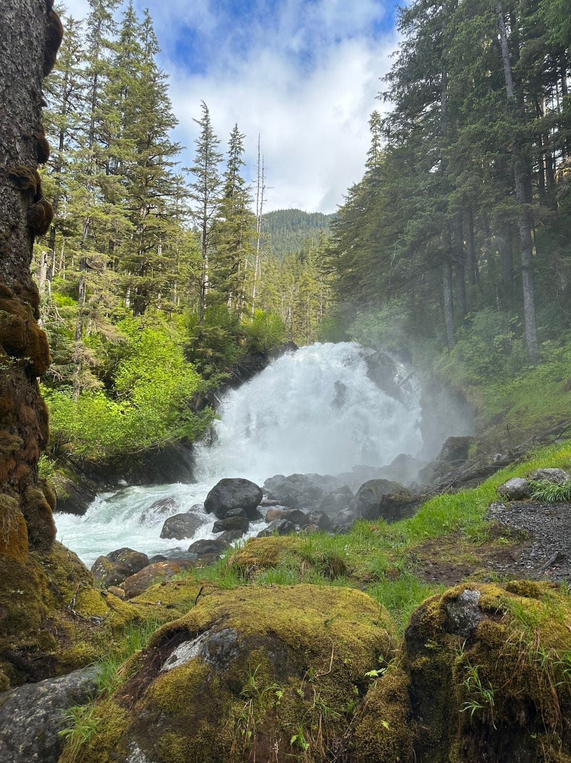 Beautiful view of a waterfall surrounded by tall trees on Cascade Creek trail