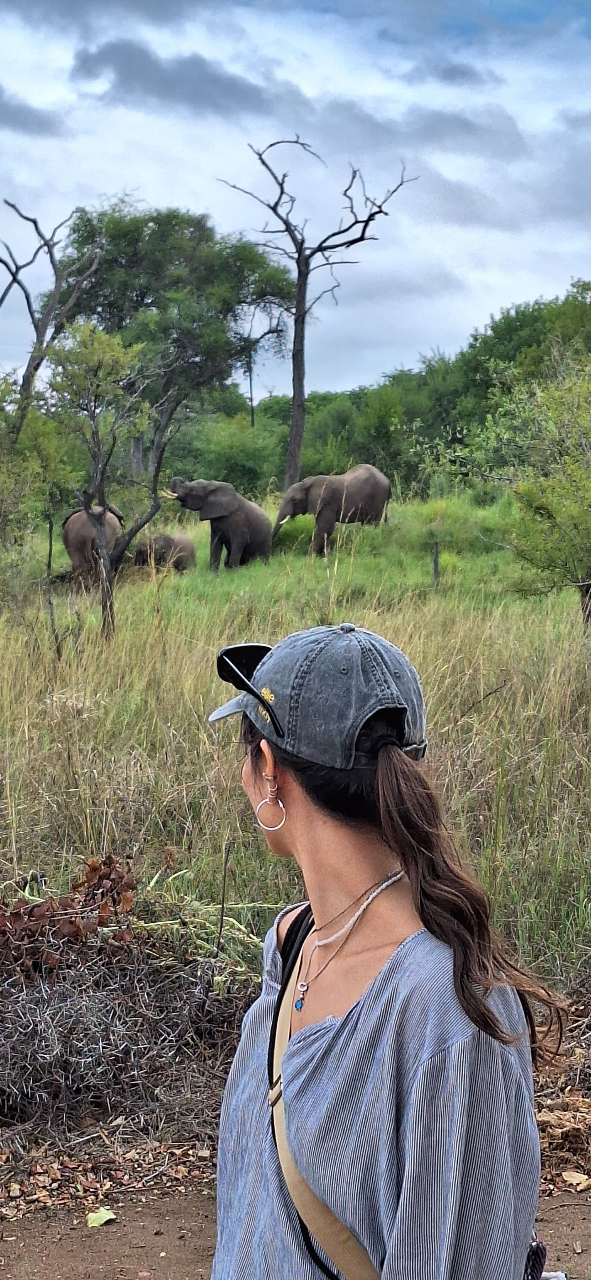 Picture of Mariana looking towards a group of elephants outdoors in their natural habitat