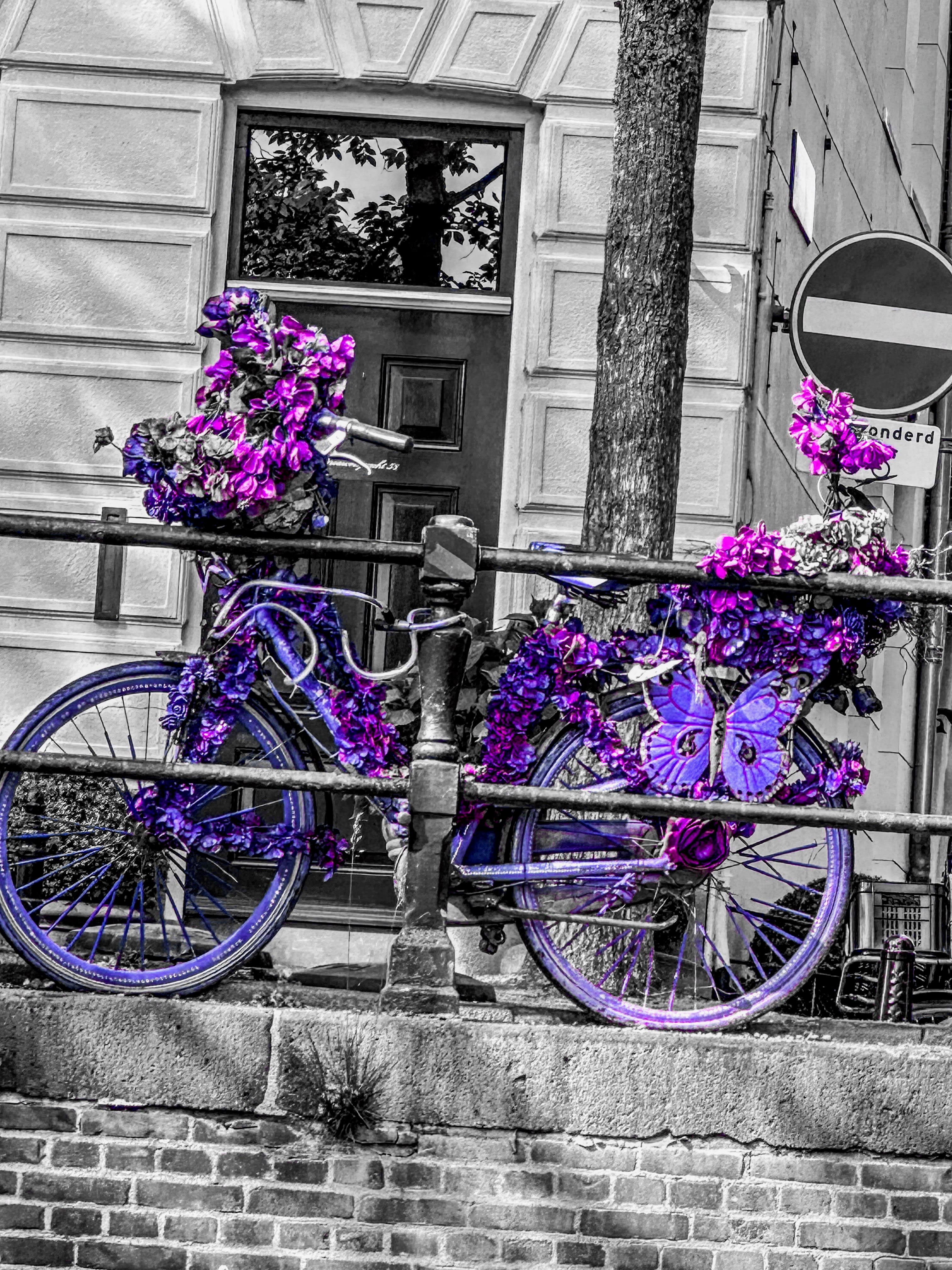 Picture of a bright purple bicycle with purple flowers leaning against a railing on the street