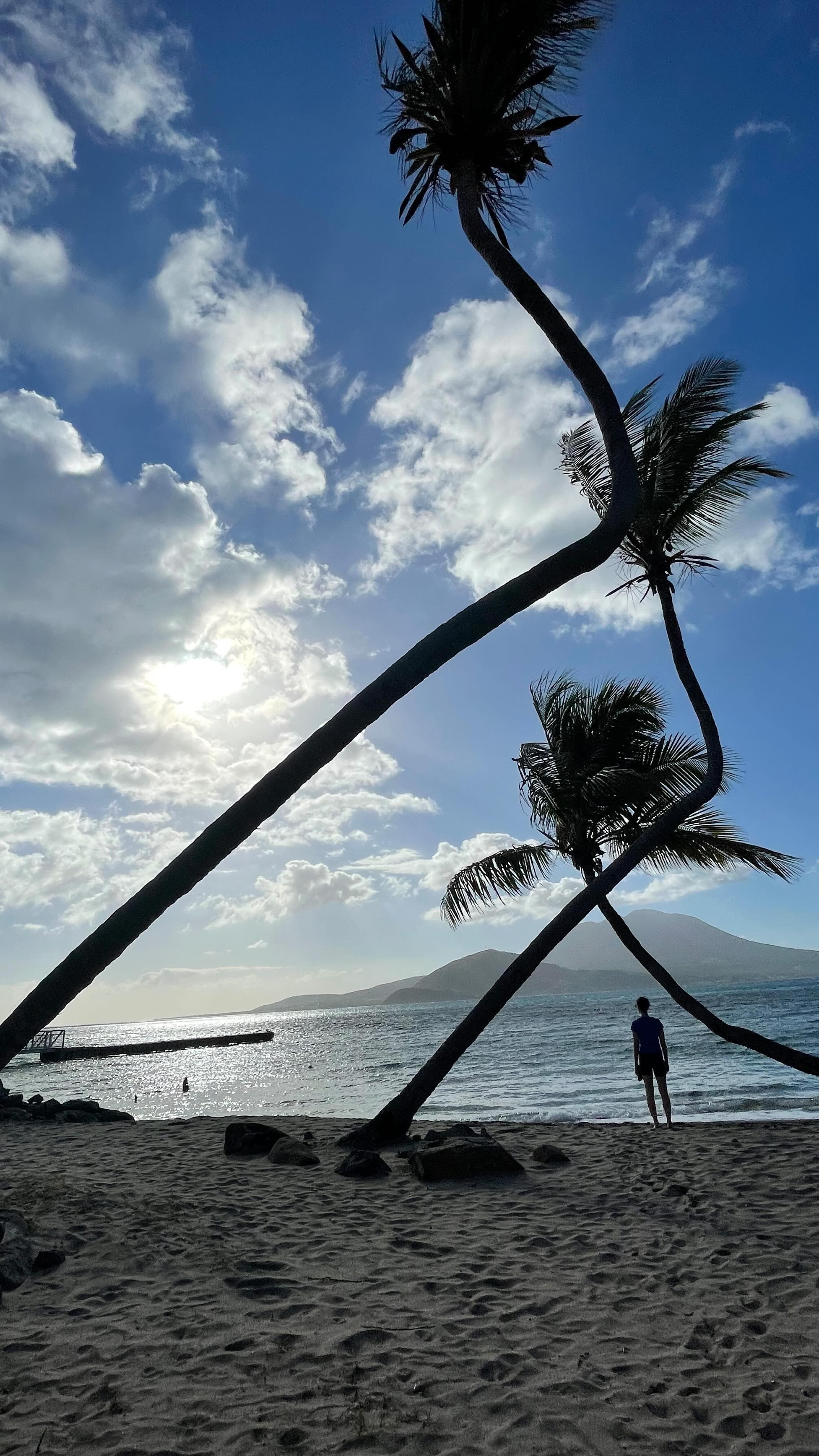 Beautiful view of empty beach with three slanted palm trees and mountains out to sea in the distance