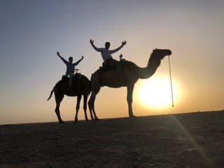 sun behind the camel