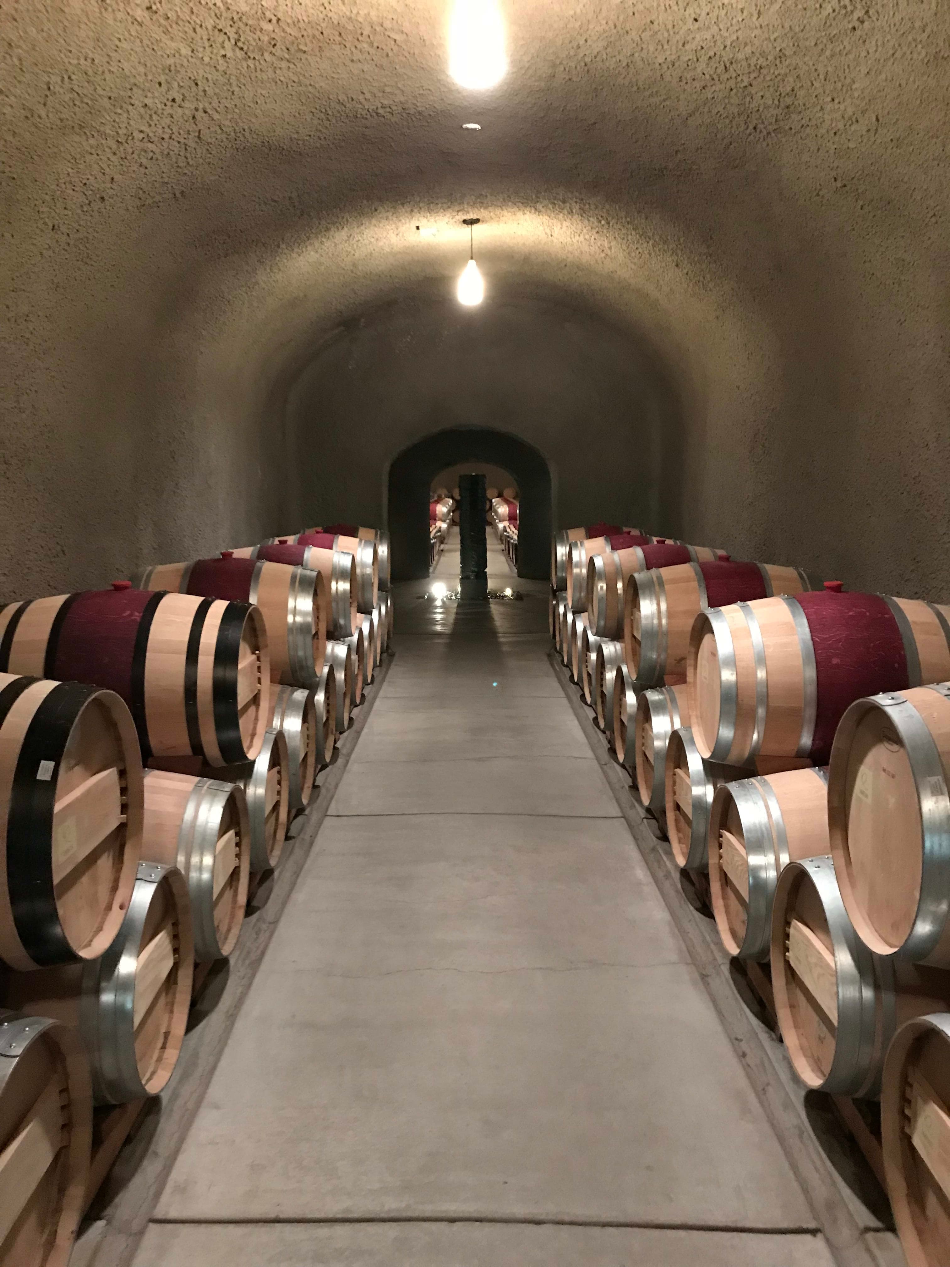 View of a wine cellar lined with barrels on both sides of the room