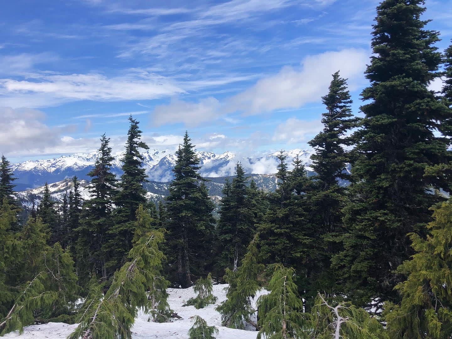 Beautiful view of snow covered mountain peaks behind tall green trees on a sunny day