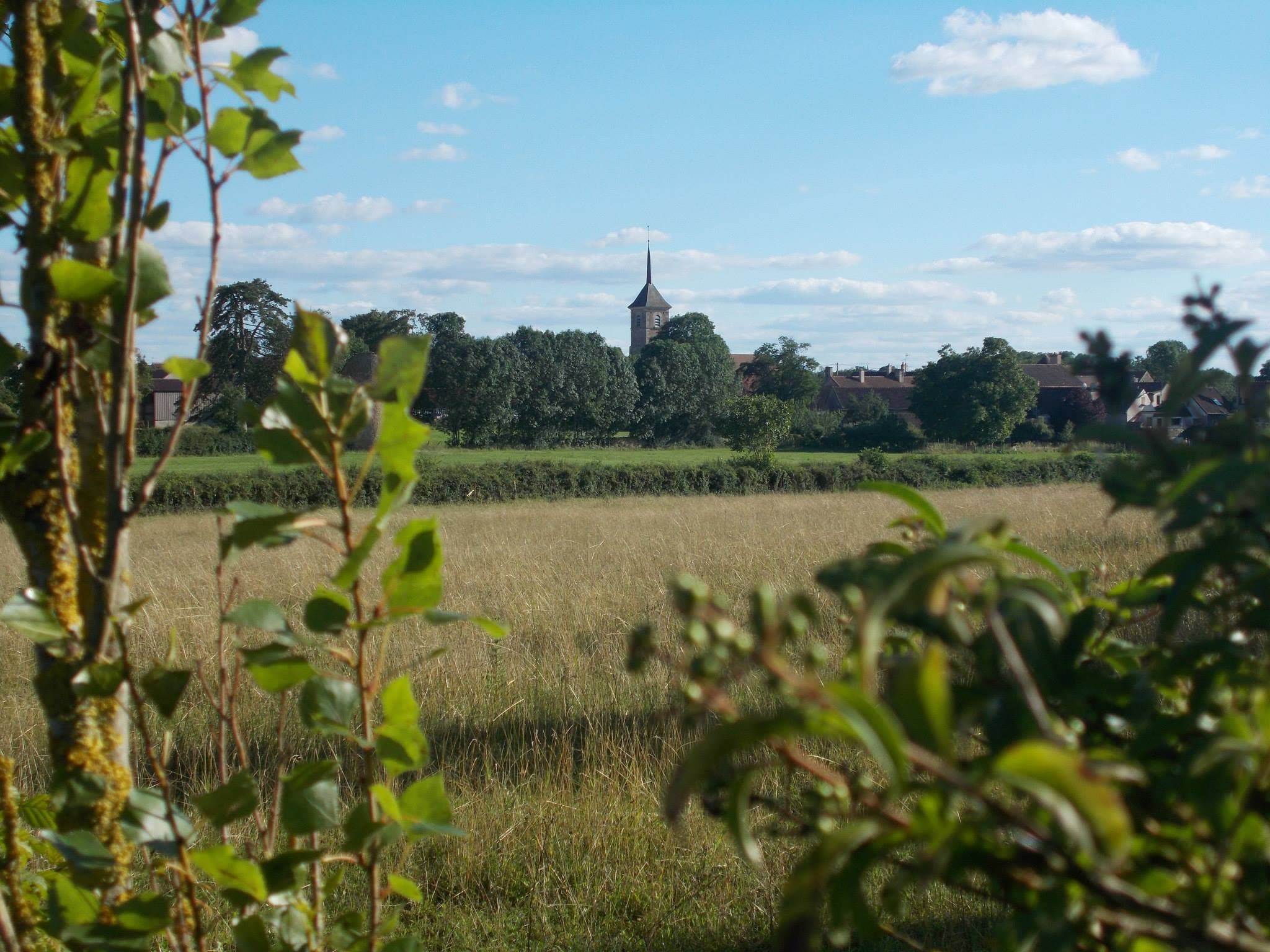 Photo taken of the tower of Église Saint-Martin from behind the bushes with a lush green garden also in view