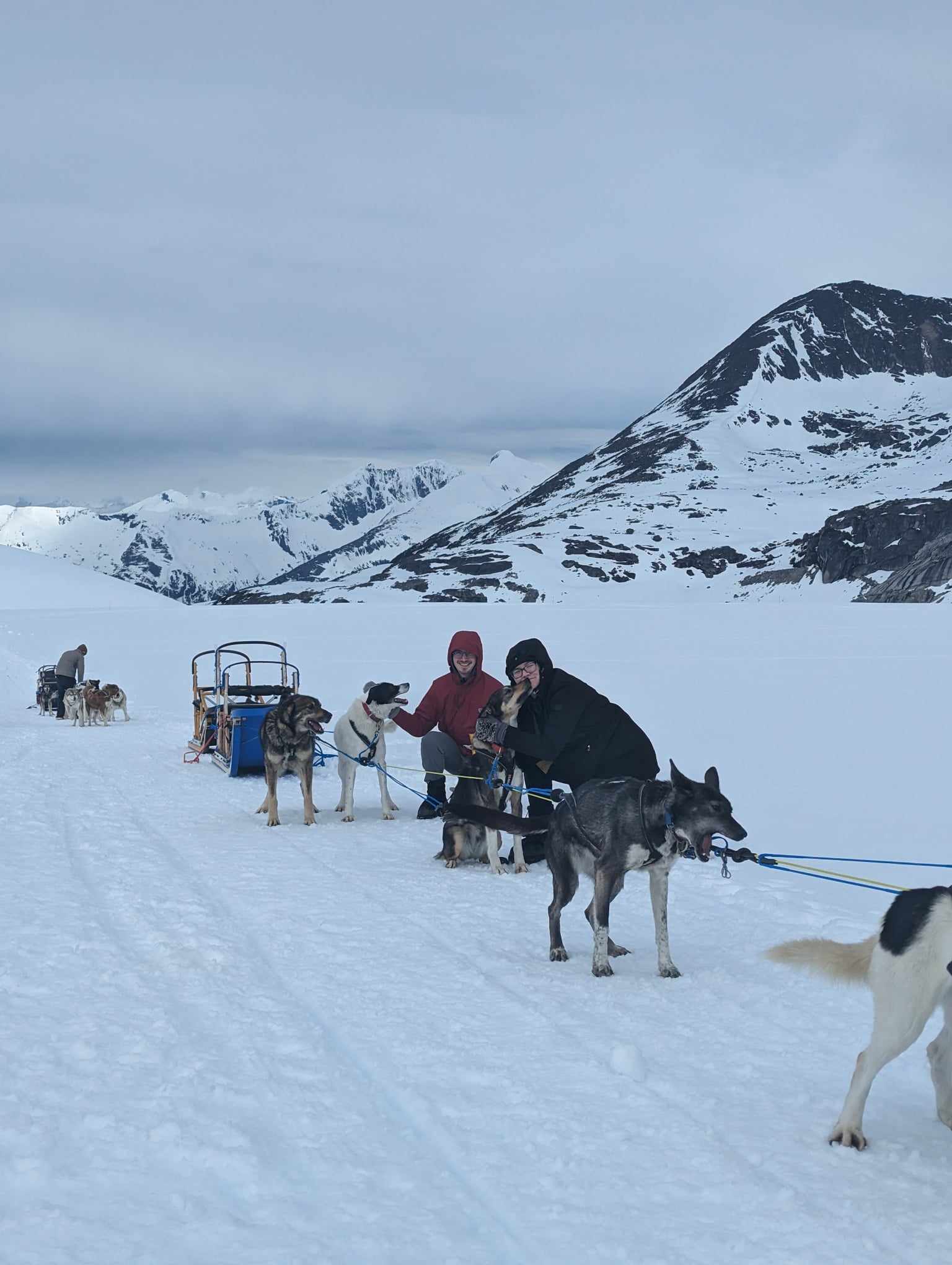 Madison and partner petting the dogs pulling a sled