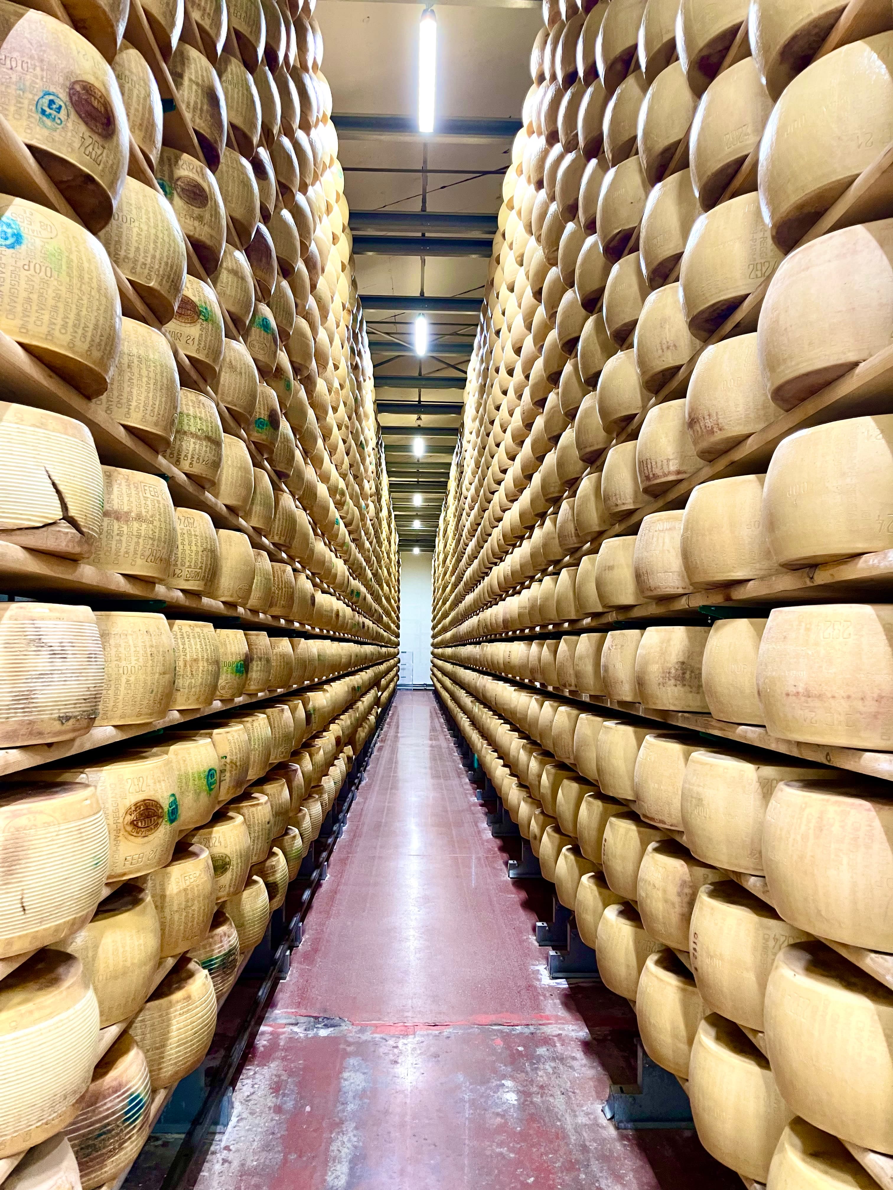 A picture of rows of beige-colored small barrels with a small corridor between.