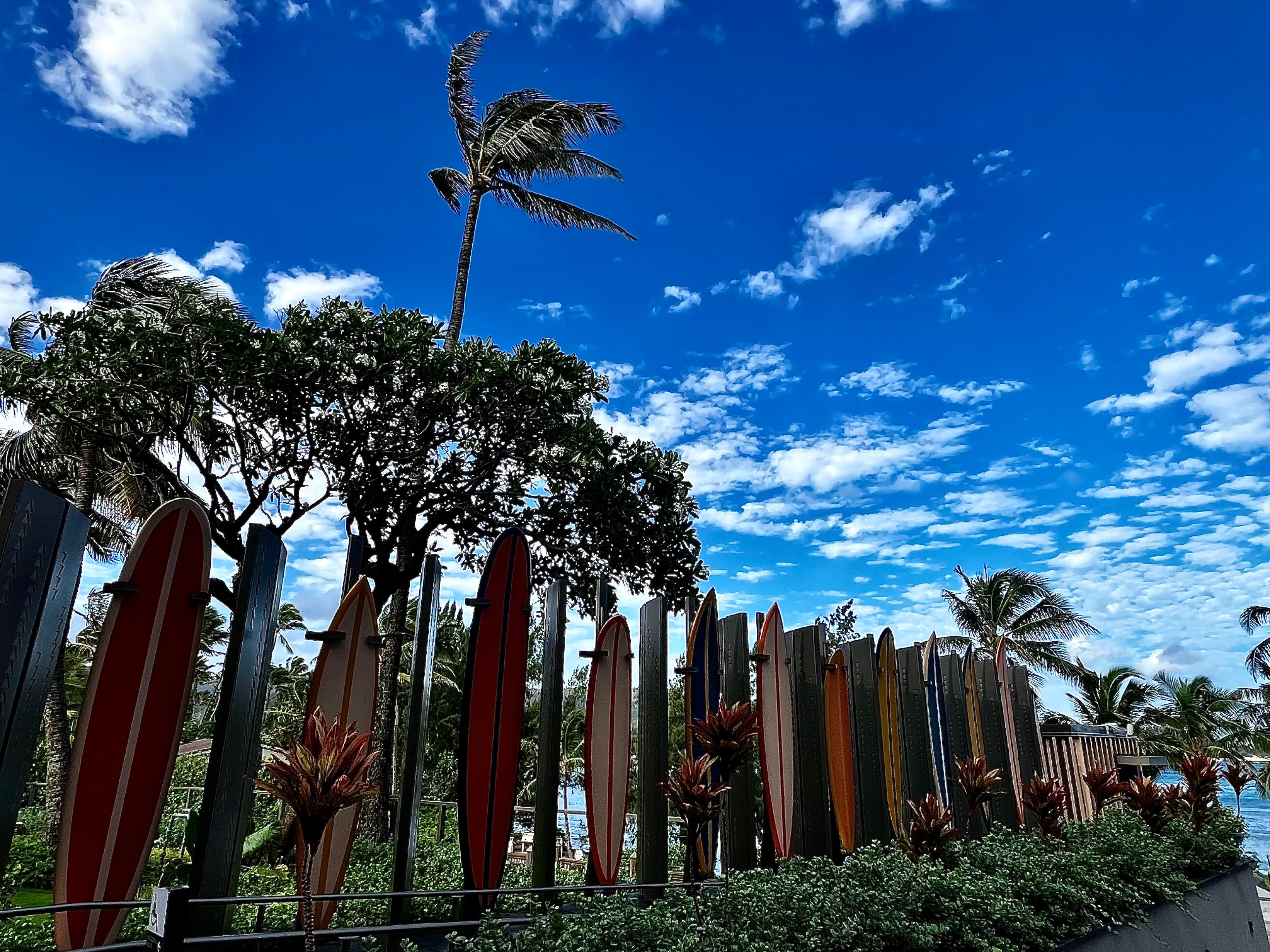 An image of a surfboard fence with foliage and palm trees in the distance.